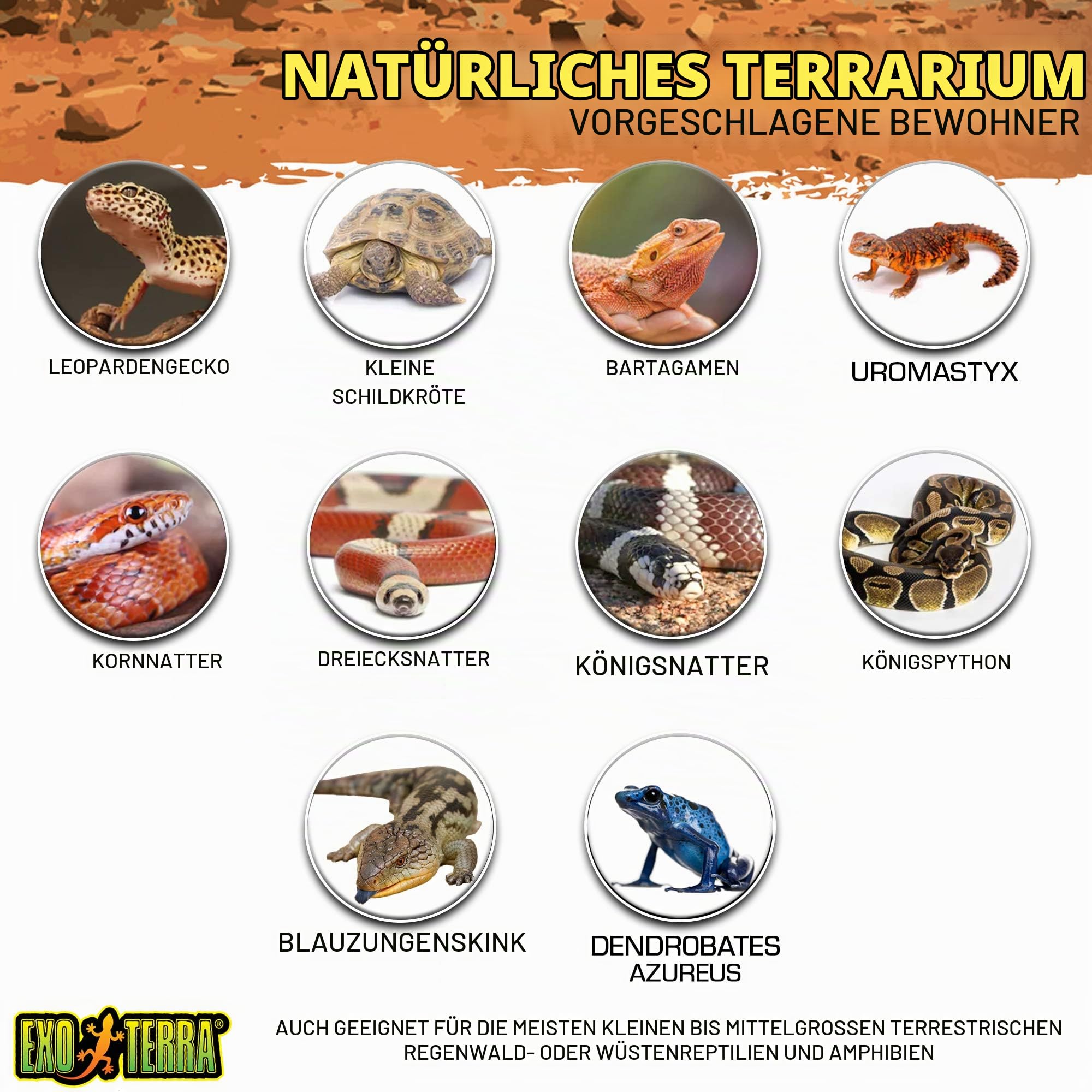 Exo Terra Terrarium aus Glas, mit einzigartiger Front Belüftung, 20 x 20 x 20cm & Compact Top, Terrarienabdeckung, Nano, für 1 Lampe, mit Reflektor, 20 x 9 x 15cm, Fassung E27