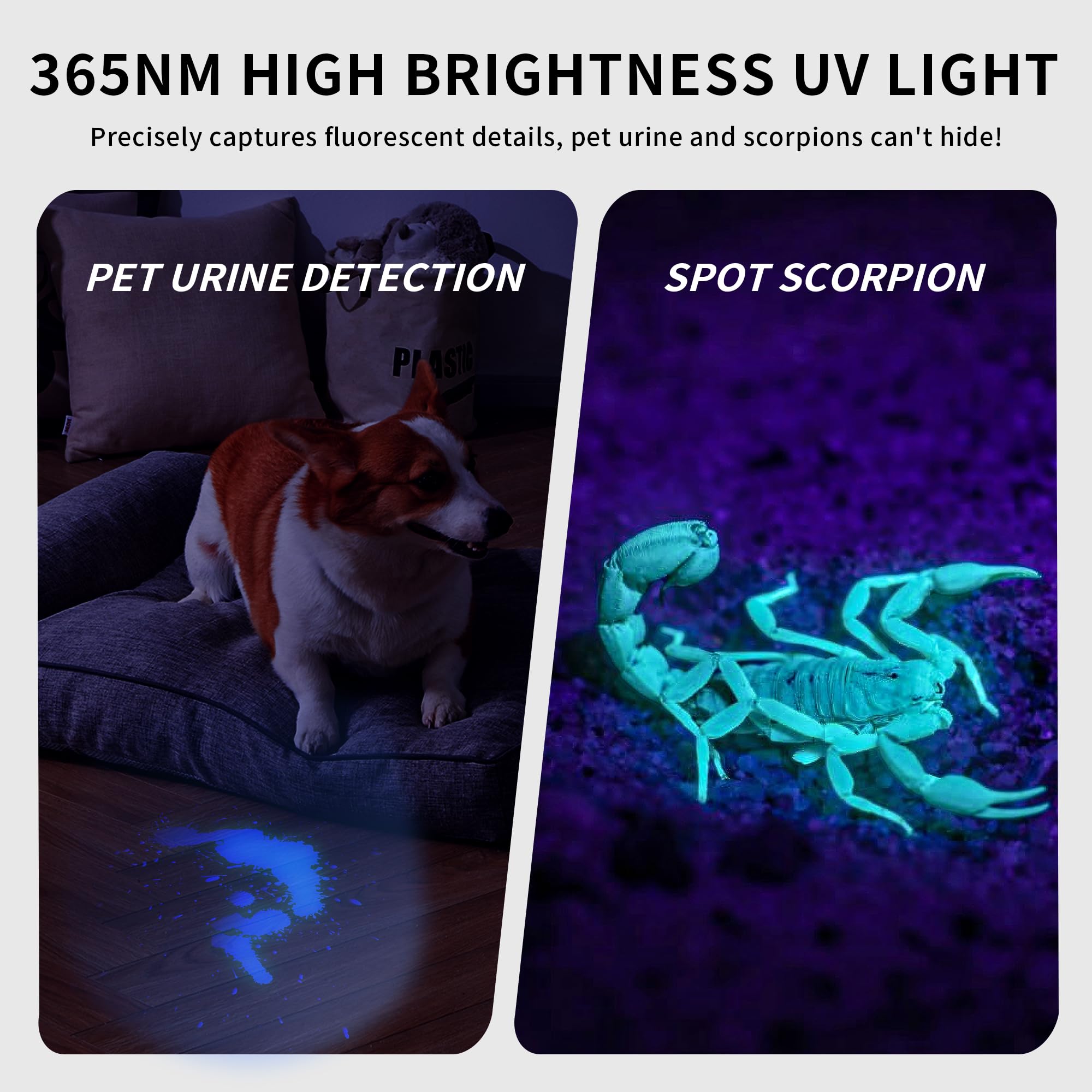 2-Pack 365nm UV Black Light Flashlight – Rechargeable Pet Urine Detector For Scorpions, Rocks, Glass