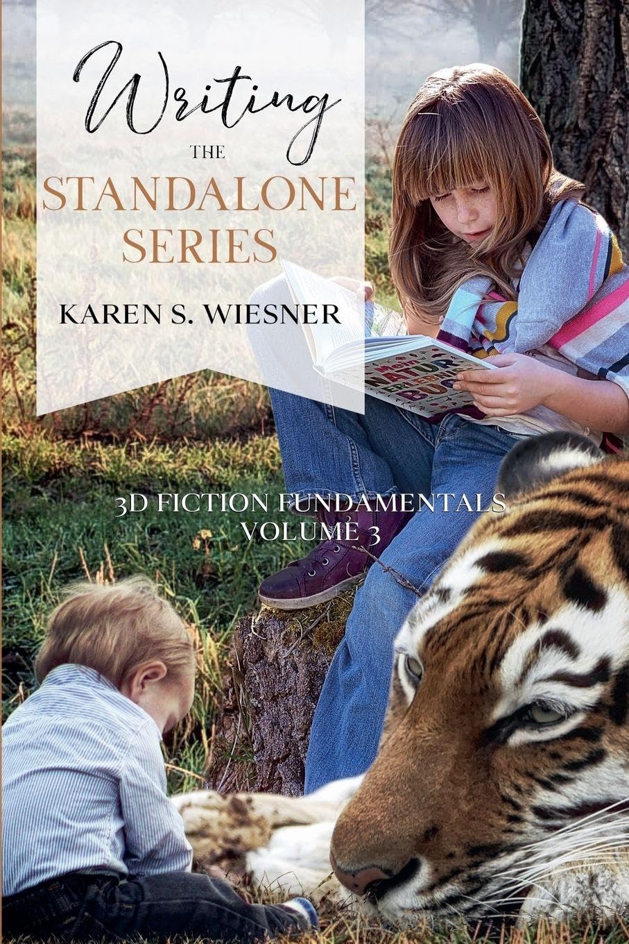 Writing the Standalone Series: 3 (3D Fiction Fundamentals)
