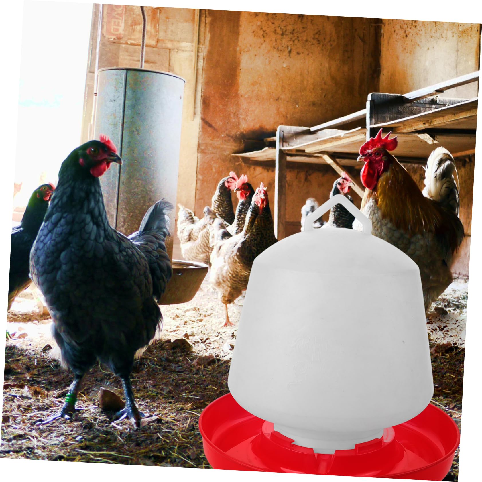 ORFOFE Mangiatoia per Pollame e Contenitore per Alimentazione Uccelli, Grande Capacità da 16 Kg, Resistente e Stabile per Polli e Volatili da Cortile, Facile da Pulire e Uso Esterno