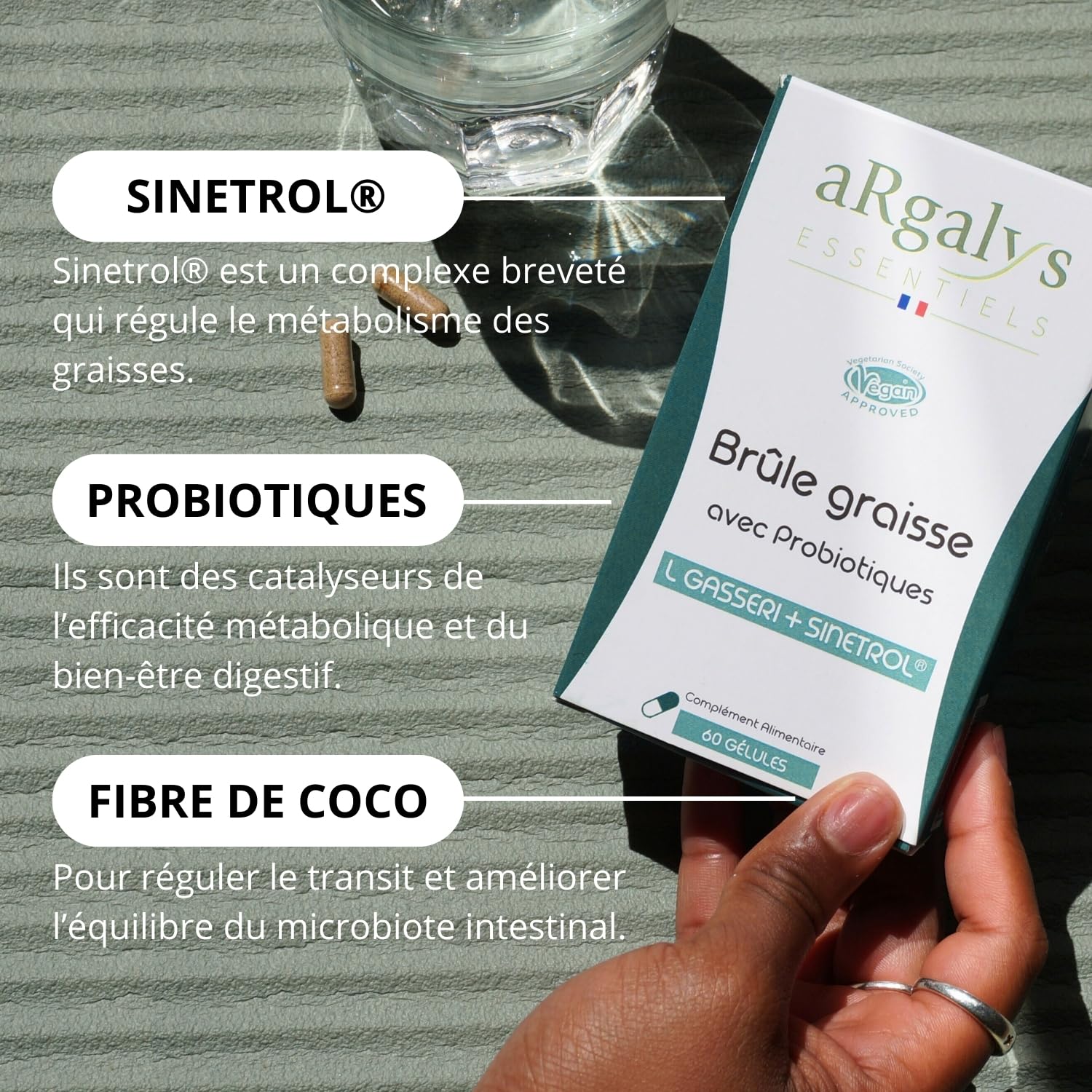 Bruleur de graisse, Formule avec Guarana, Sinetrol® & Probiotiques - Minceur - Perte de Poids, Boost du Métabolisme & Digestion, Cure de 1 mois (60 Gélules), Fabriqué en France, Vegan