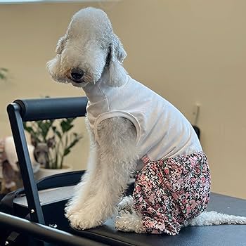 しじみ　イタグレ服　ハンドメイド hqdefault.jpg