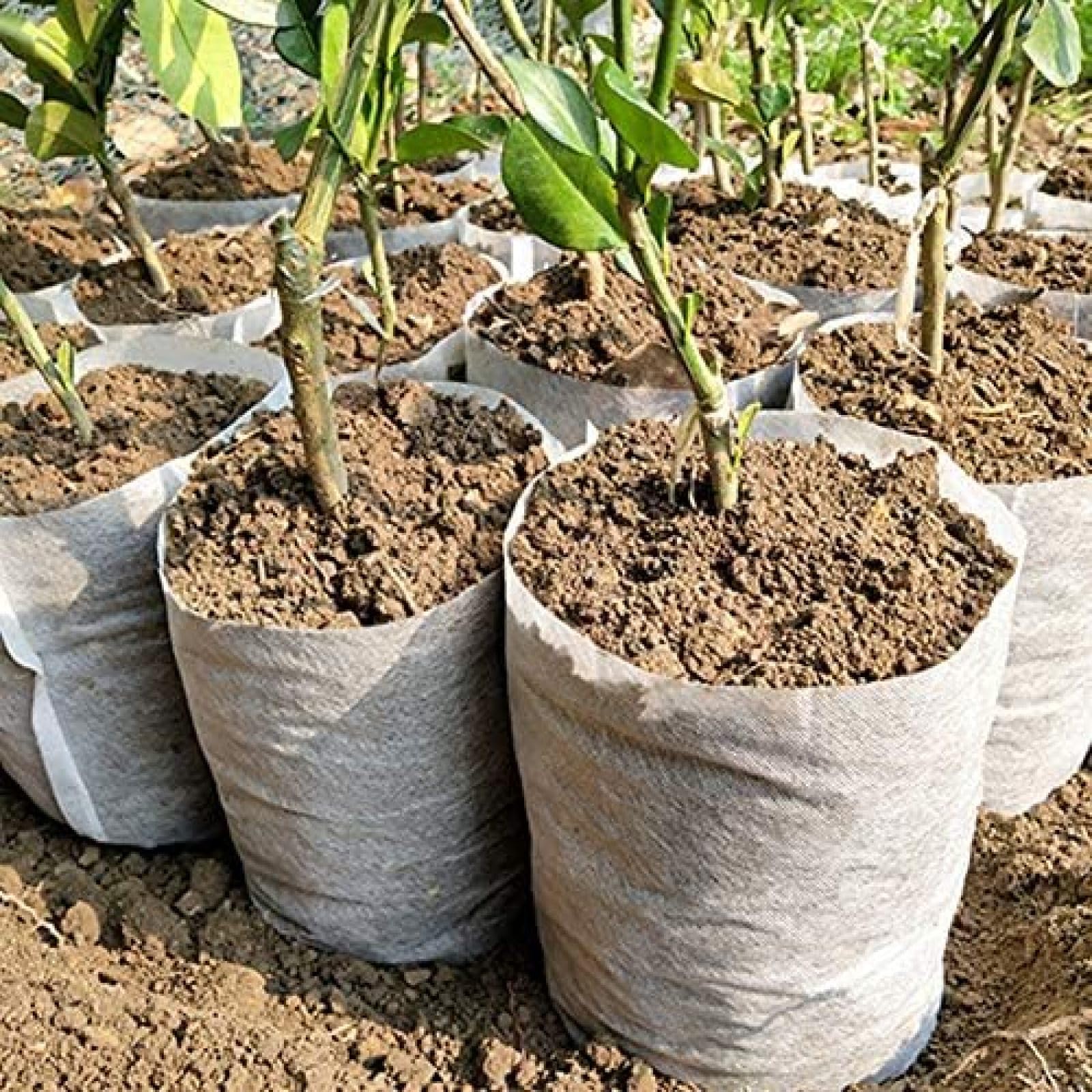 100 sztuk różnych rozmiarów biodegradowalne włókniny doniczki do sadzonek ekologiczne torby do sadzenia torba do przedszkola torby do uprawy roślin do ogrodu, 25x25cm (100szt)