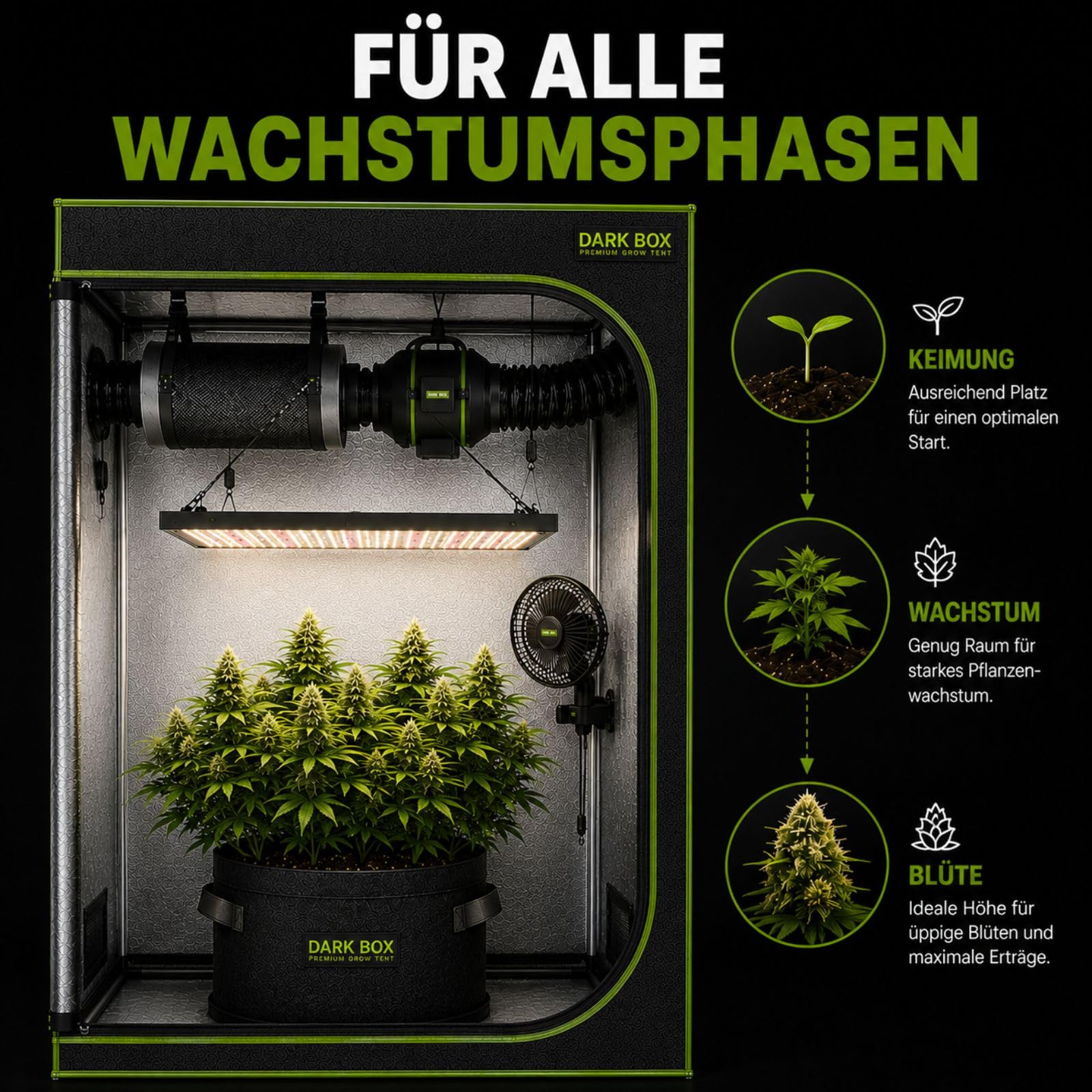 Weedness Caja Oscura Pro Cultivo Interior 360x240x240 cm - Carpa de Cultivo Armario de Cultivo Carpa de Cultivo Invernadero Casa Impermeable a la luz