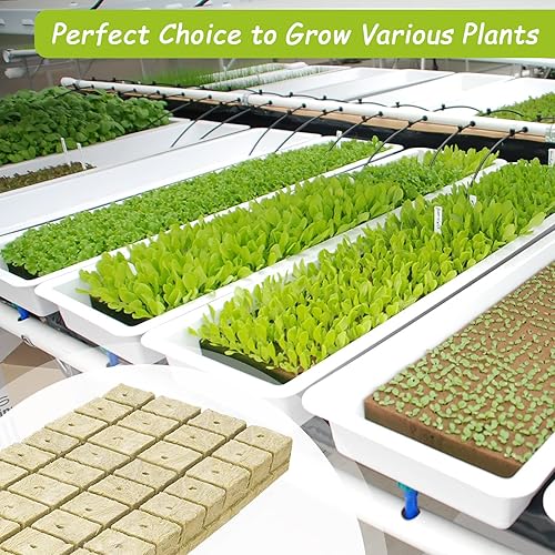 Miniatura 6 de Legigo Cubos de cultivo de lana de roca de 1.2 pulgadas, cubos de siembra de lana de roca para iniciador de semillas, cultivo hidropónico, esquejes,