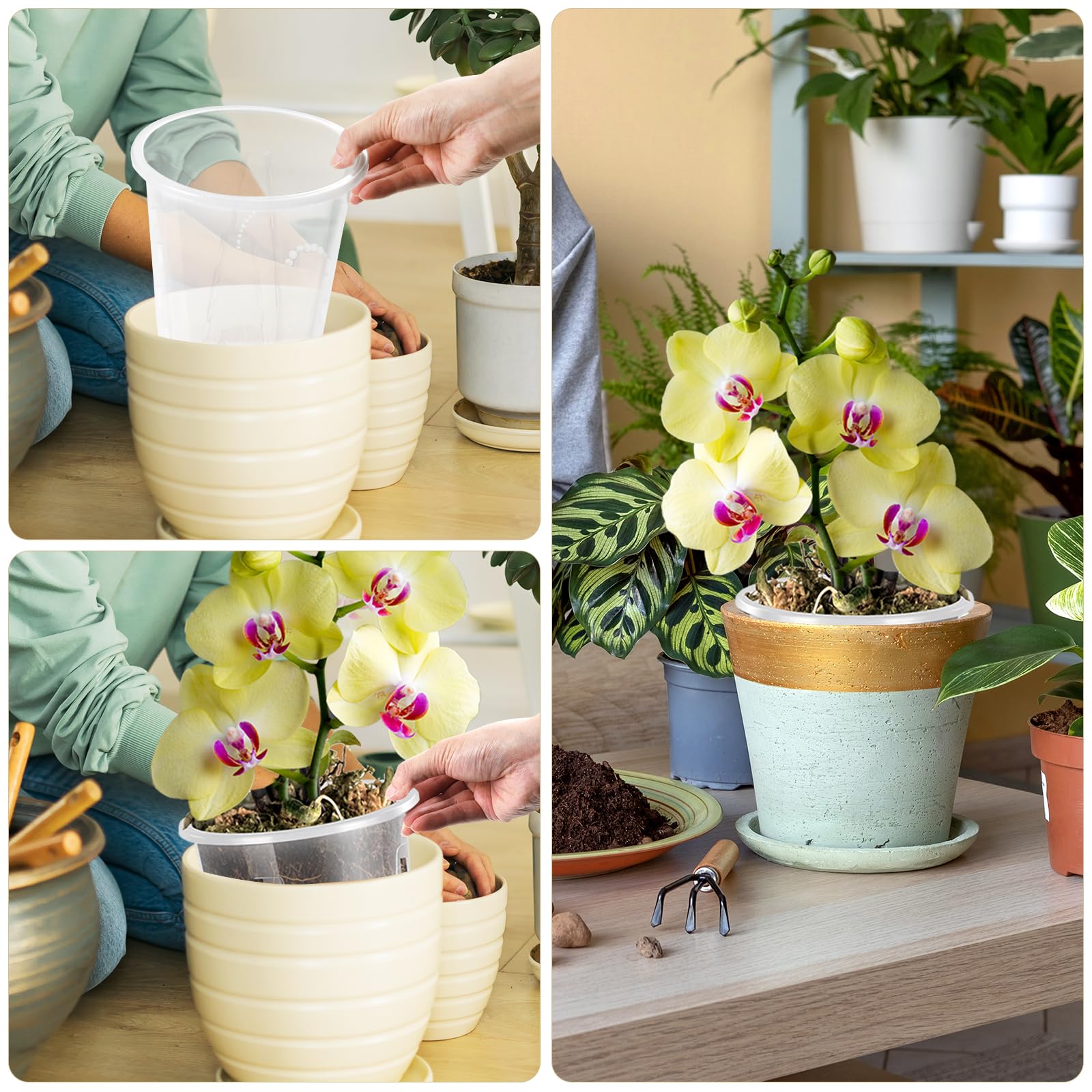 Vaso trasparente per orchidee, 6 vasi in plastica da 18 cm, con fori di drenaggio, vasi per piante da vivaio per orchidee, piante grasse, piante d'appartamento