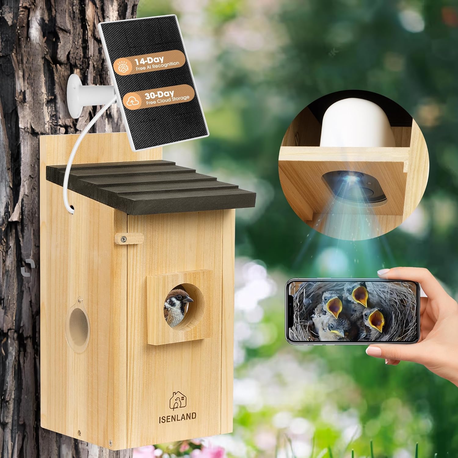 ISENLAND 1080P Birdhouse Camera Solar Powered 