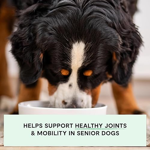 Miniatura 3 de Open Farm - Alimento seco para perros mayores sin granos, receta con certificado Certified Humane para aves de corral con superalimentos sin OMG y