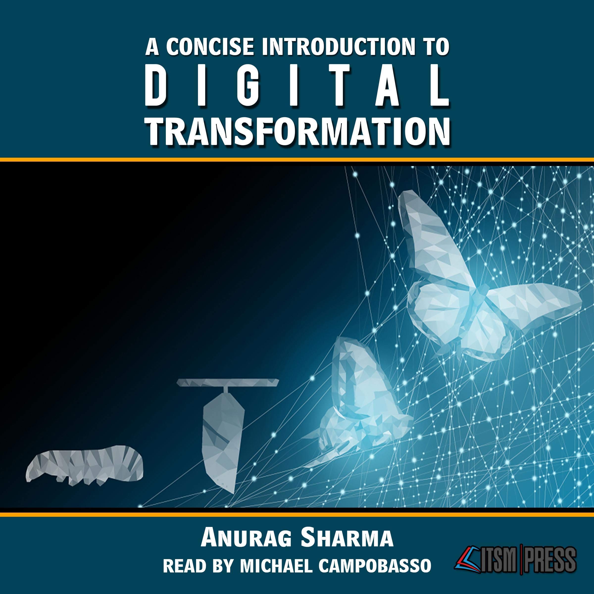 A Concise Introduction to Digital Transformation