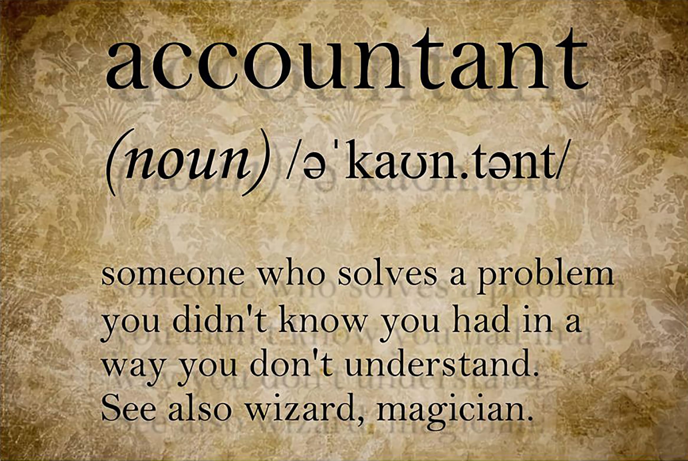 Kwqdozf Tin Sign-6 12X16inch Accountant Definition Someone Who Solves A Problem You Didn‘t Kno