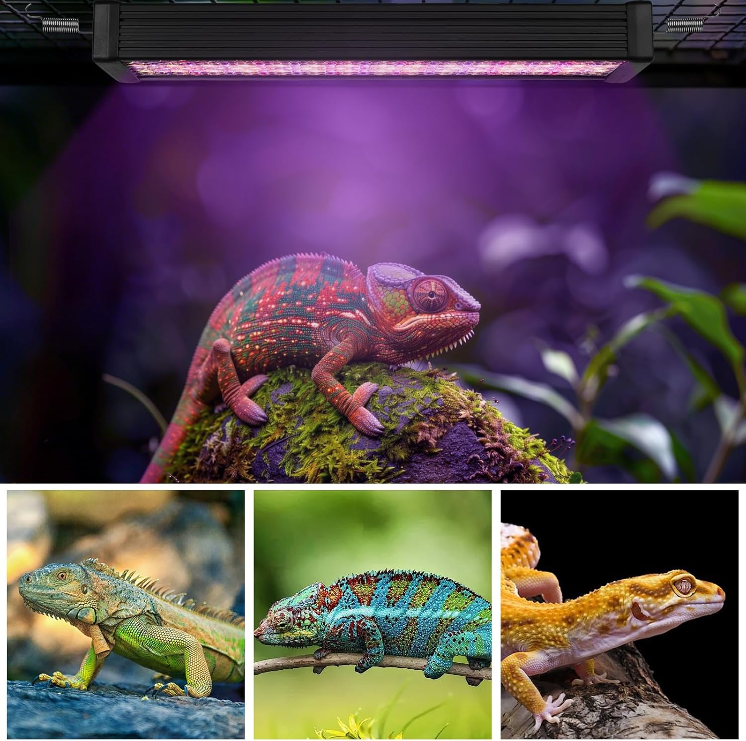 UVA UVB Reptile Light,15Inch Full Spectrum LED Reptile UVB Lamp for Bearded Dragons,Turtles,Geckos,Chameleons,Lizards,Snakes,12000H Long Lifespan Adjustable Timer Calcium Absorption Lamp for Terrarium