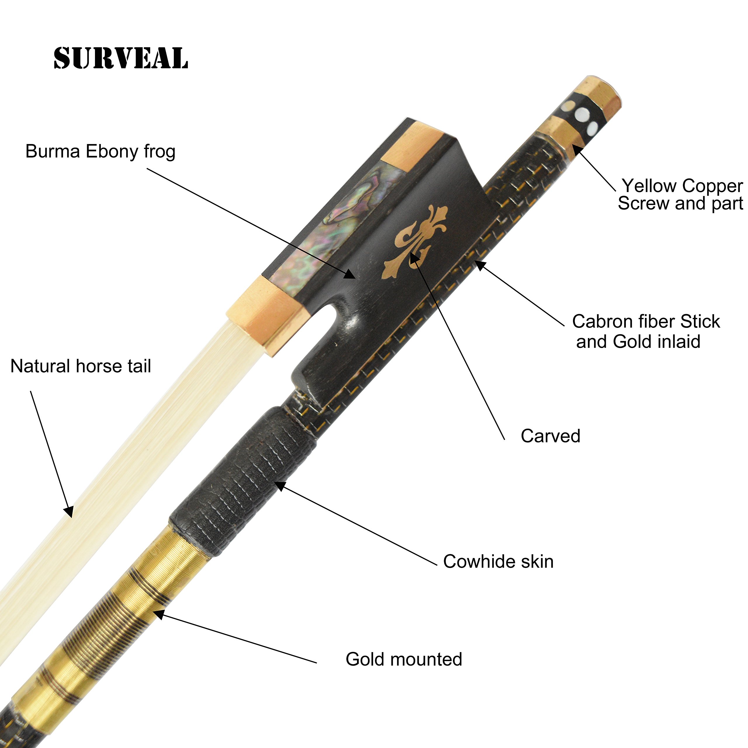 Violin For Kids JonPaul Bravo Model Carbon Fiber 4/4 Violin