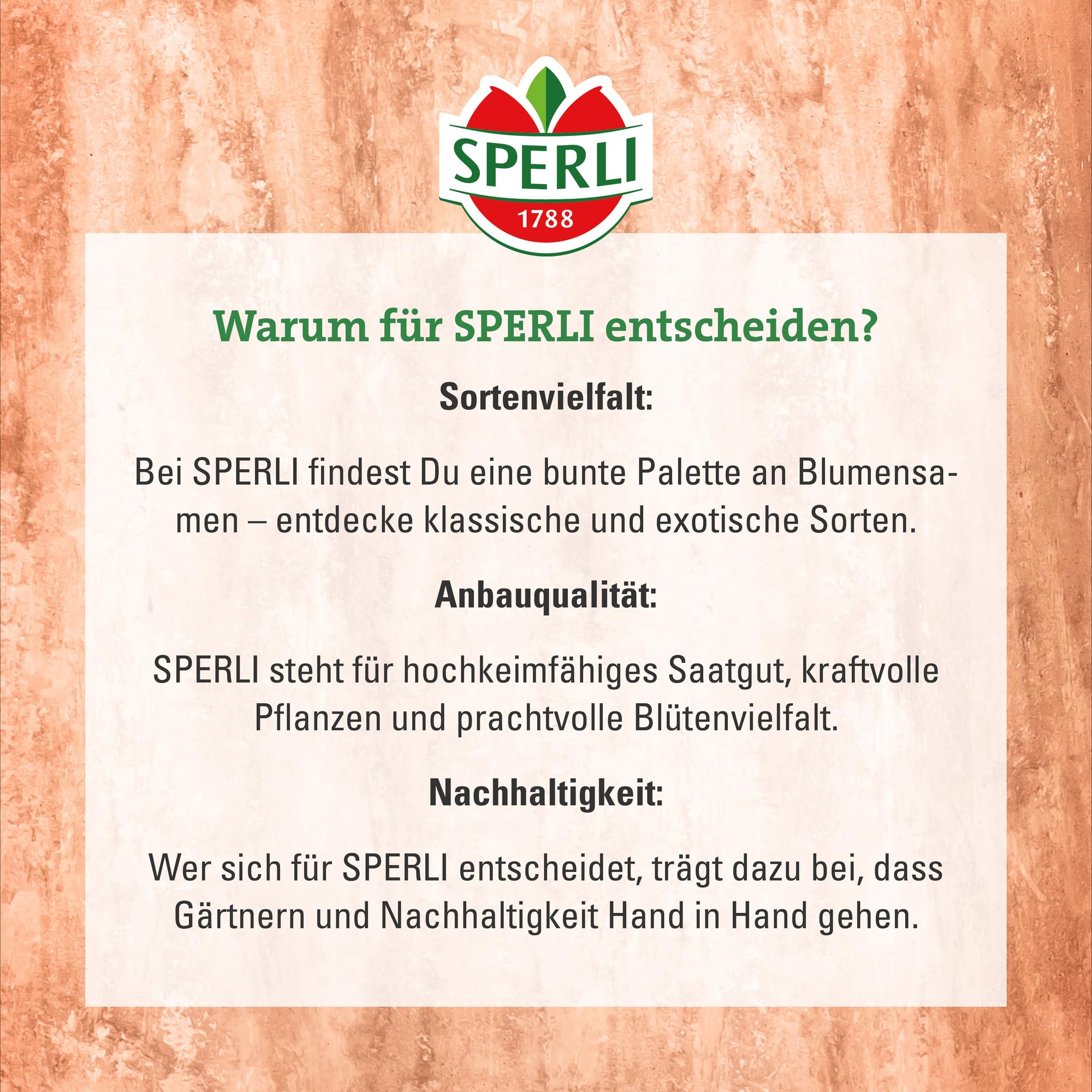 Foglio A6 In Carta Riciclata Con Semi Di Fiori Selvatici - GZ230310121 - Foto 5