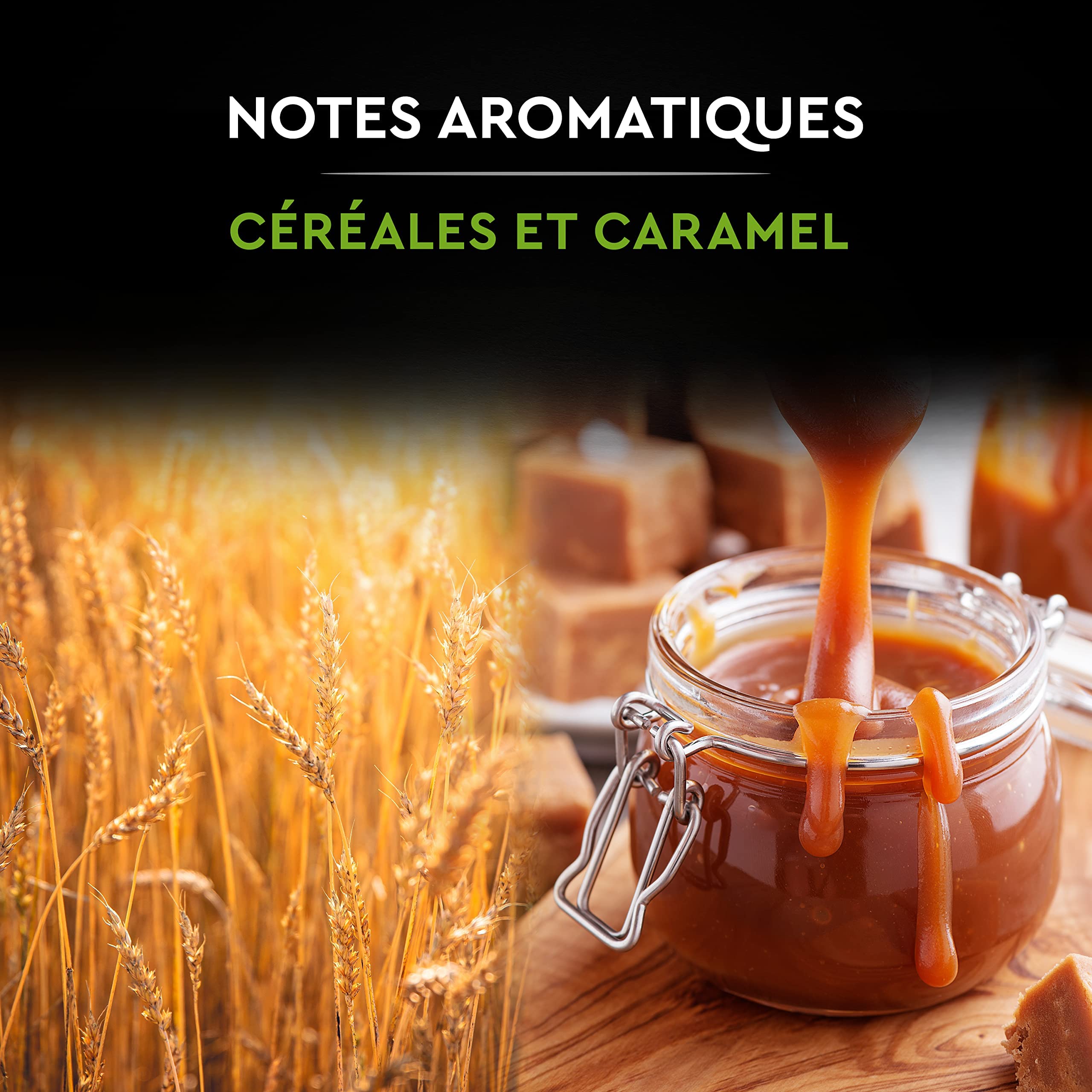CARTE NOIRE - Café Grain Bio - 100 % Arabica - Origine Amérique Latine - Paquet de 1 kg - Fabriqué en France