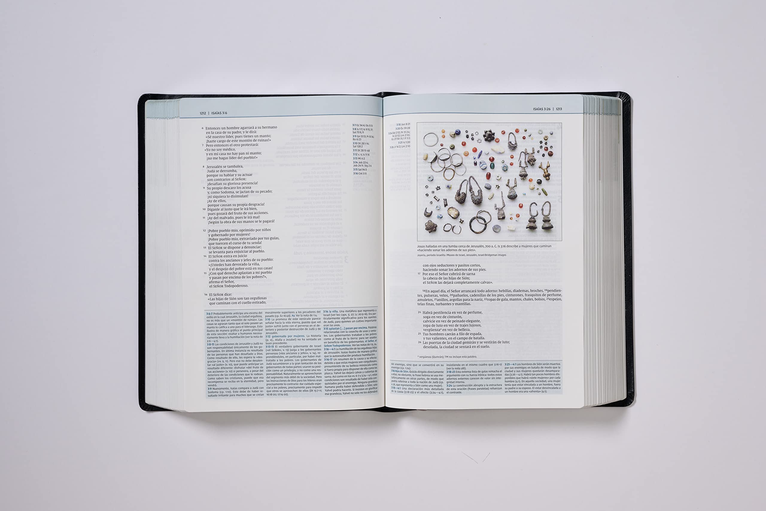 NVI Biblia De Estudio Teologia Biblica: Nueva Version International, Negro, Piel Reciclada: Sigue el plan redentor de Dios como se desenlaza en las Escrituras