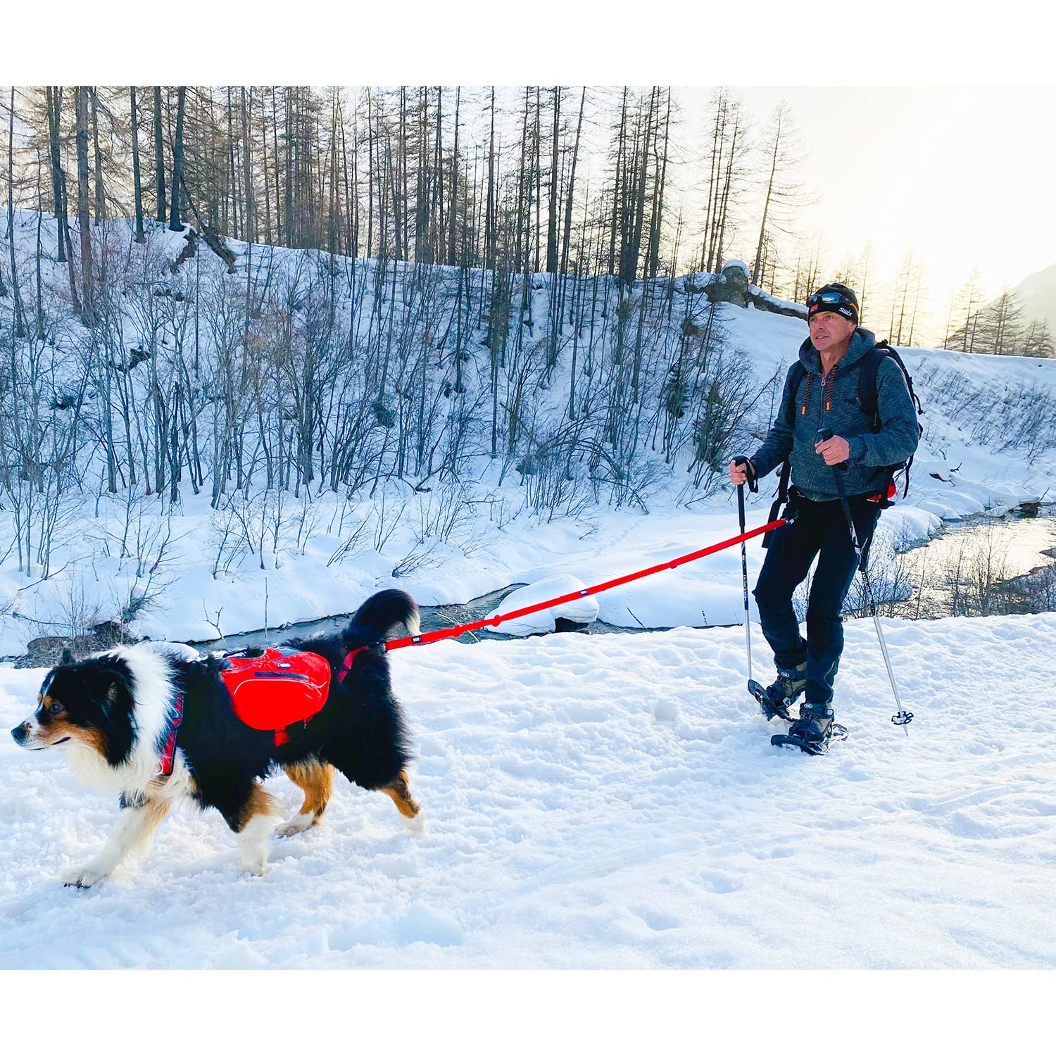Canicross/Canirando Comfort Trek, Guinzaglio, colore: rosso