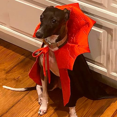 Miniatura 3 de ADOGGYGO Disfraz de Halloween para perro, vampiro, diablo, disfraz de perro, capa de Halloween, capa roja y negra, disfraces de Halloween para