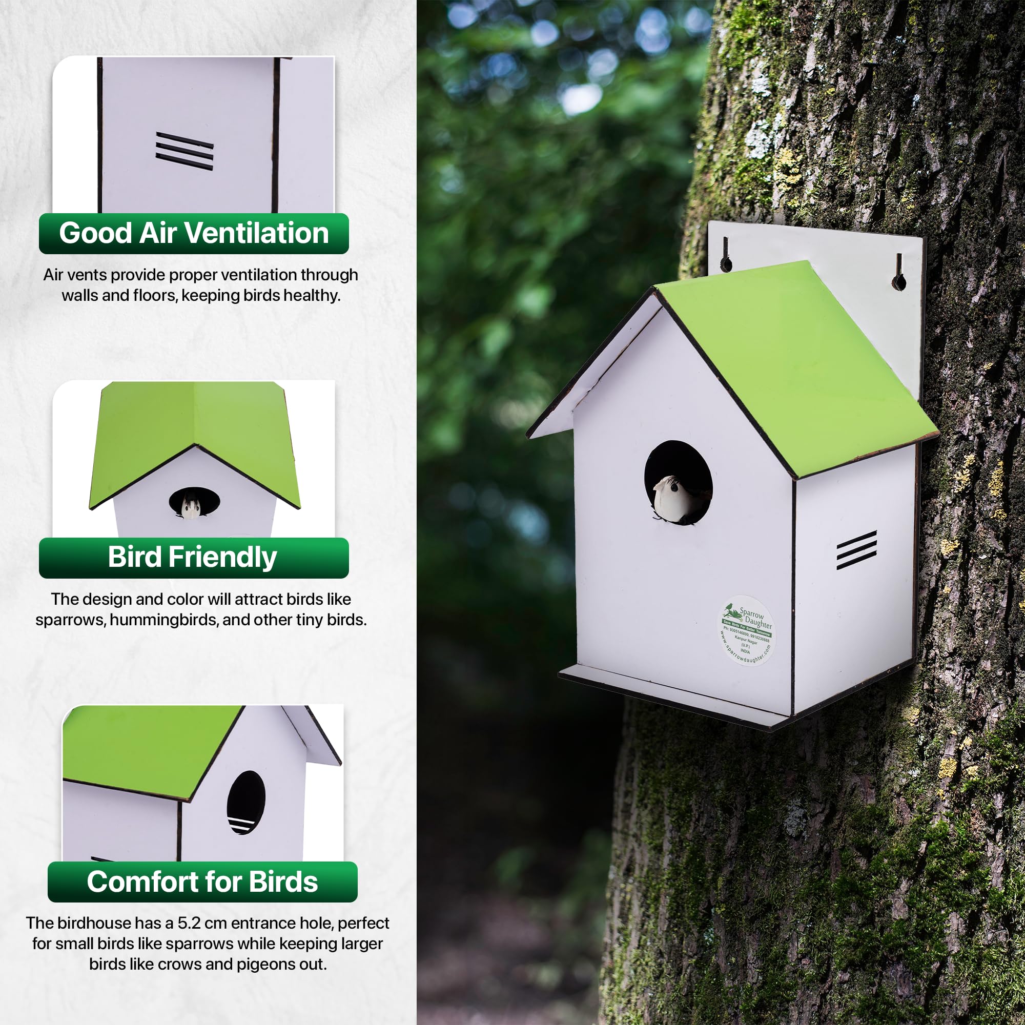 Sparrow Daughter Hut Shape MDF Bird House for House Sparrow, Love Birds, Wooden Bird Nest for Balcony & Garden Hanging, Medium Size,Light Green Color 3