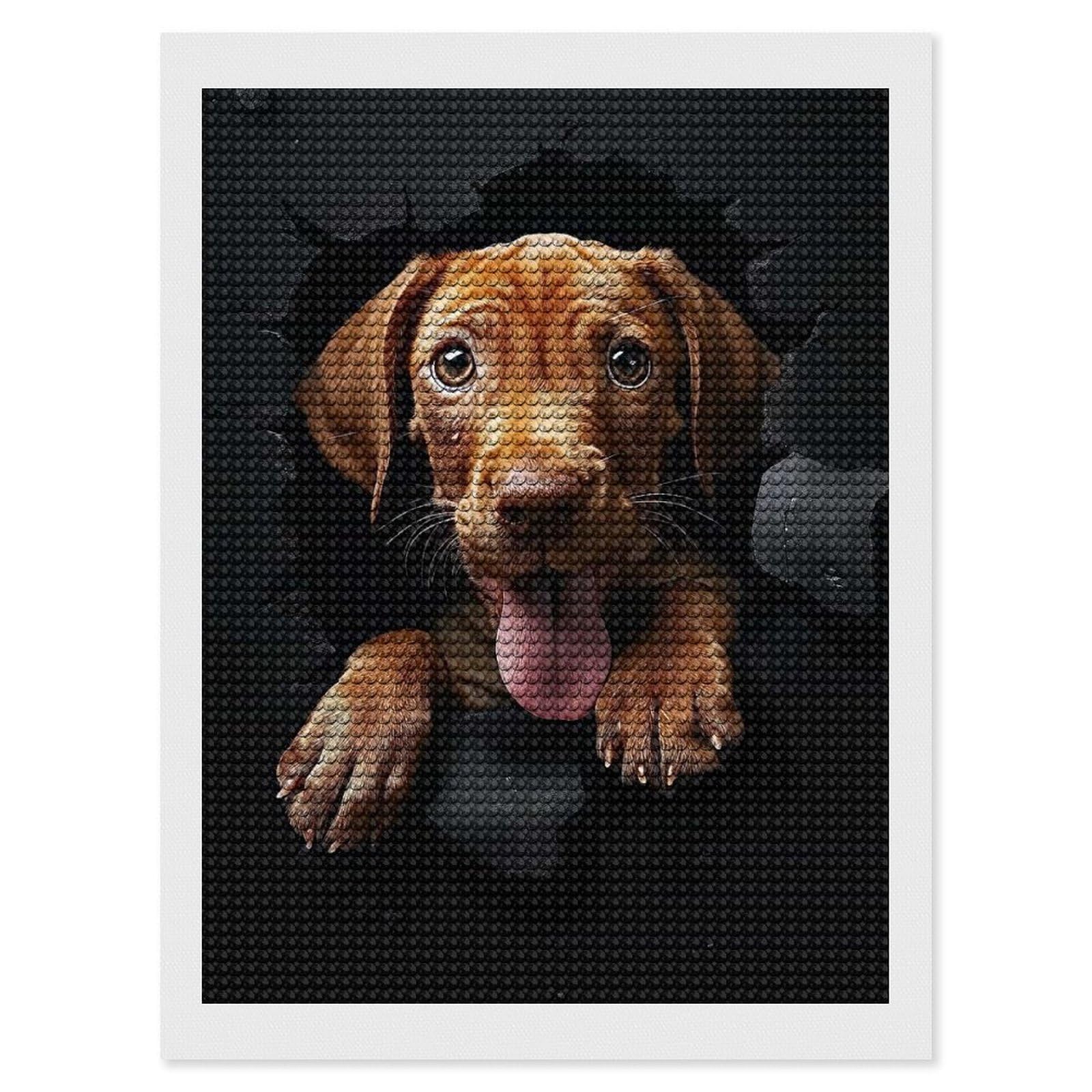 Junmoney Vizsla Diamond Painting Canvas Kit 12"x16", Relaxing DIY, Modern Decor, Aesthetic Room Decor, Home Wall Art, Wall Art Gift