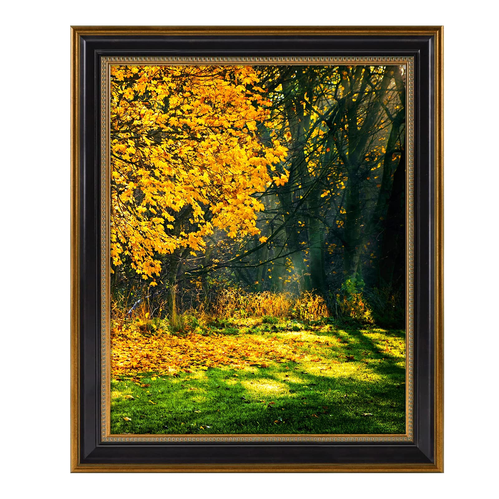 Space Art Deco, Set of 1,16x20 Picture Frame without Mat for 16x20 Poster/Photo Frame Shatter-Resistant Glass Wall Mounting Display(Black and Ornate Gold Design)