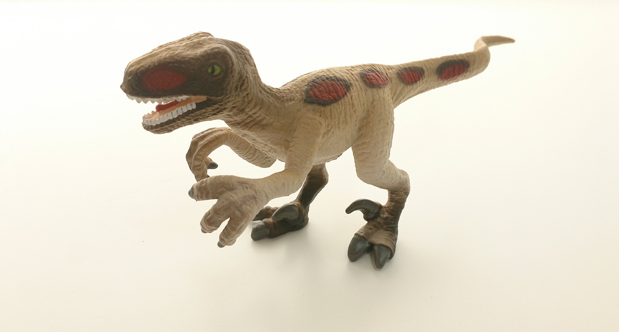 Amazon.co.jp: Schleich シュライヒ 恐竜 ベロキラプトル(スペシャル