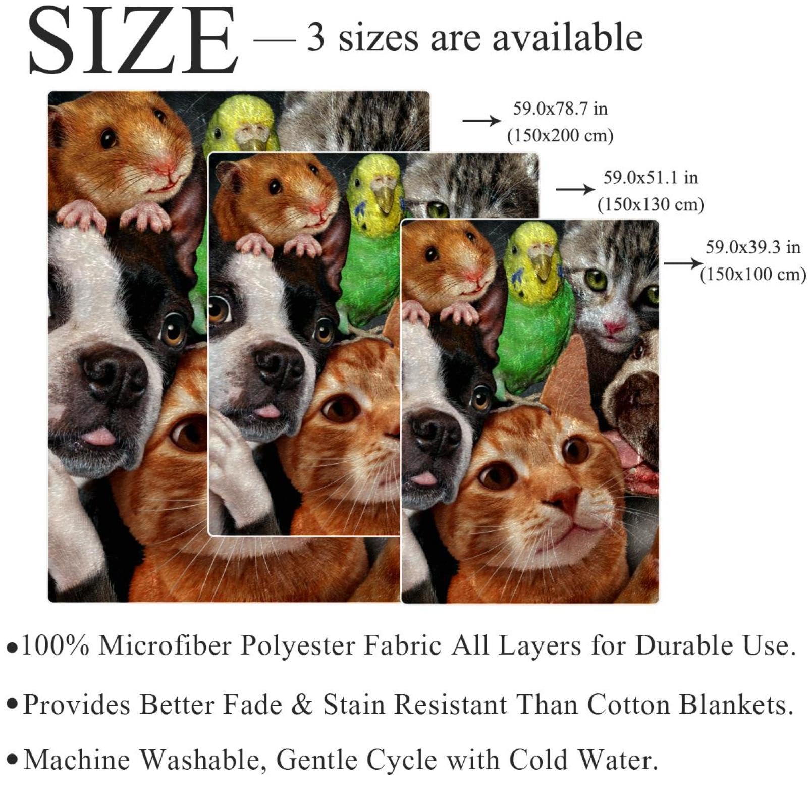 Couverture Polaire Chien Chat Hamster Couverture Microfibre Chaude Et Douce Jeté De Canapé Couverture 150×200cm