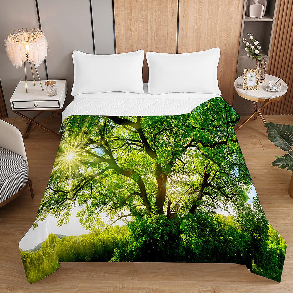 Couvre-lit Matelassé Imprimé Forêt Nordique - 220x240 Cm, Microfibre Douce, Réversible - Pour Lit, Canapé, Décoration