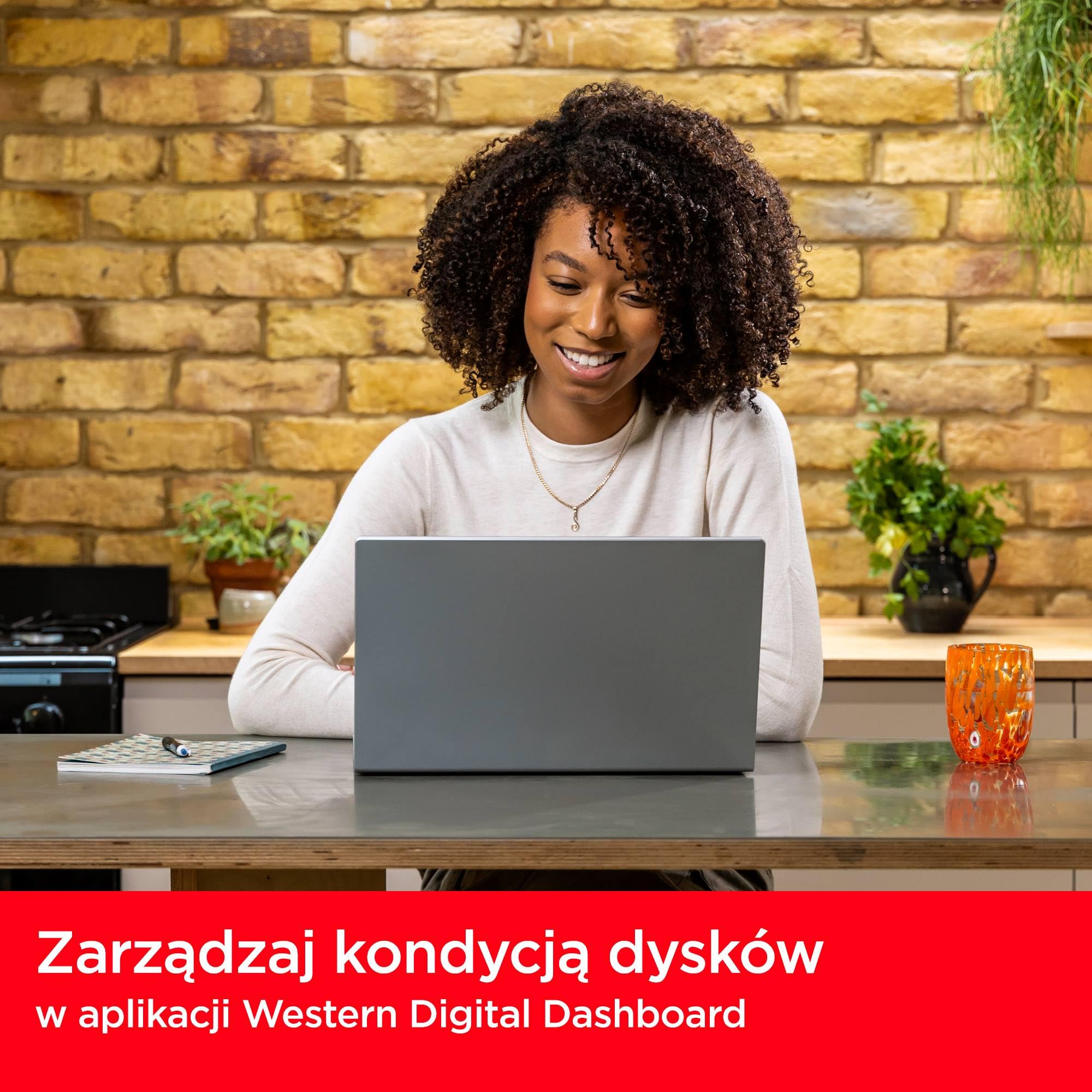 SanDisk SSD Plus 250 GB M.2 NVMe SSD, wewnętrzny SSD, PCIe Gen 3, M.2 2280, łatwa instalacja, 3 lata