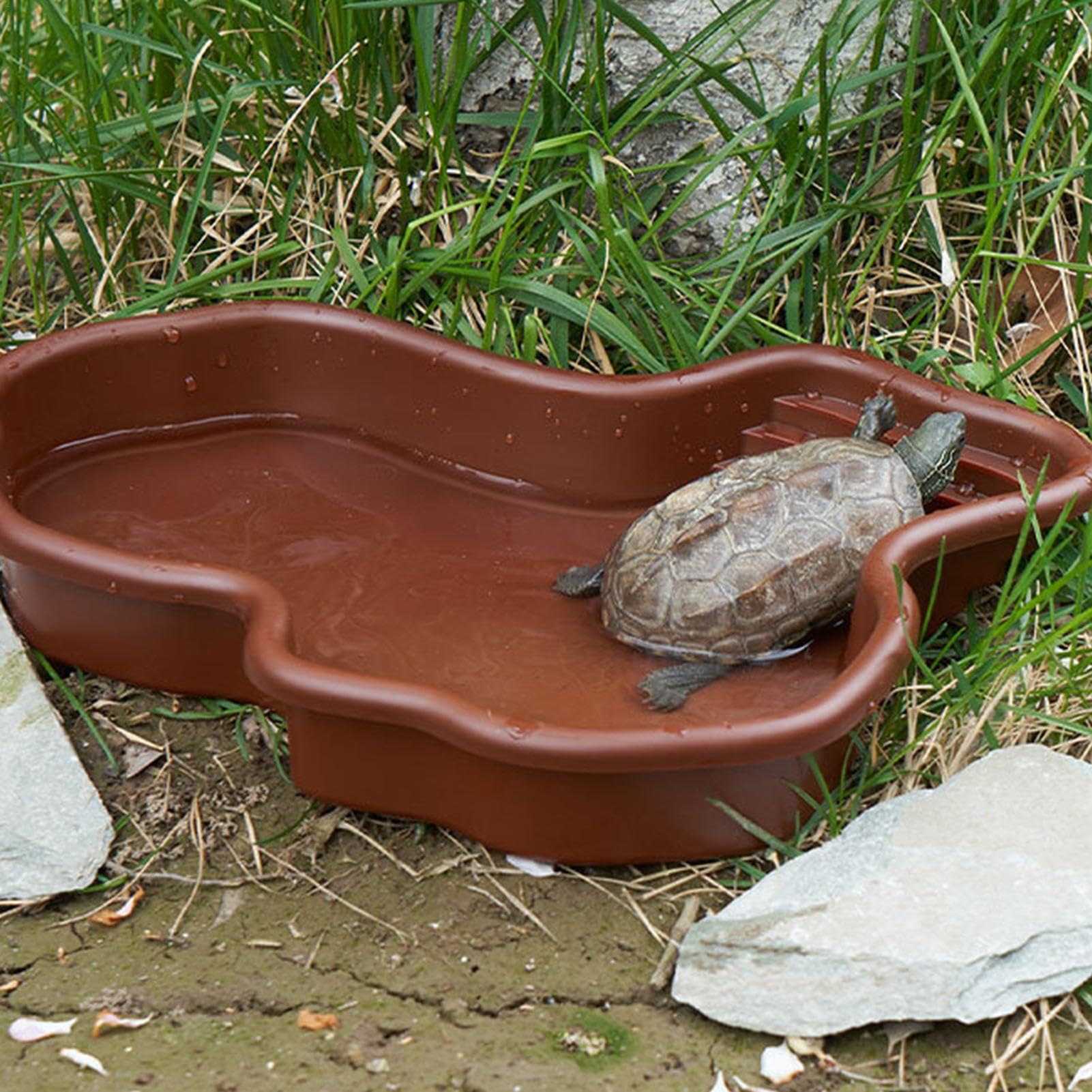 Piscina per Rettili | Vasca da Bagno per Rettili | Ciotola per Acqua per Rettili | Piscina per Tartarughe | Mangiatoia per Tartarughe per Tartarughe, Draghi Barbuti, Gechi