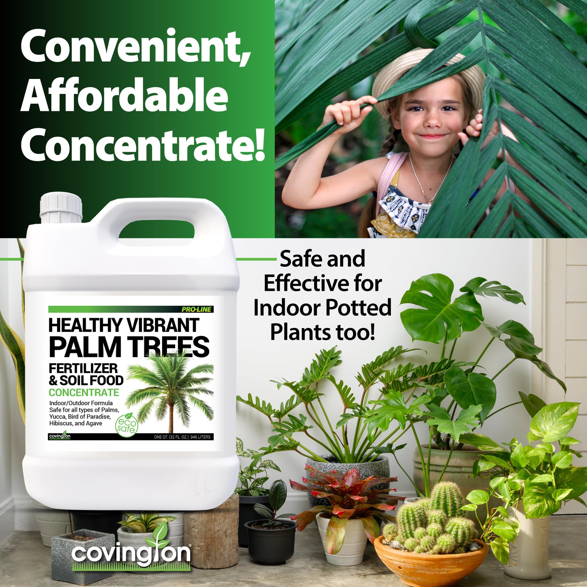 Amazon.com : Best Liquid Palm Tree Fertilizer  Indoor Outdoor Plant Food  for All Types  Slow Release Fertilizer  Liquid Plant Food  Rich Soil  Food with Kelp - Made in