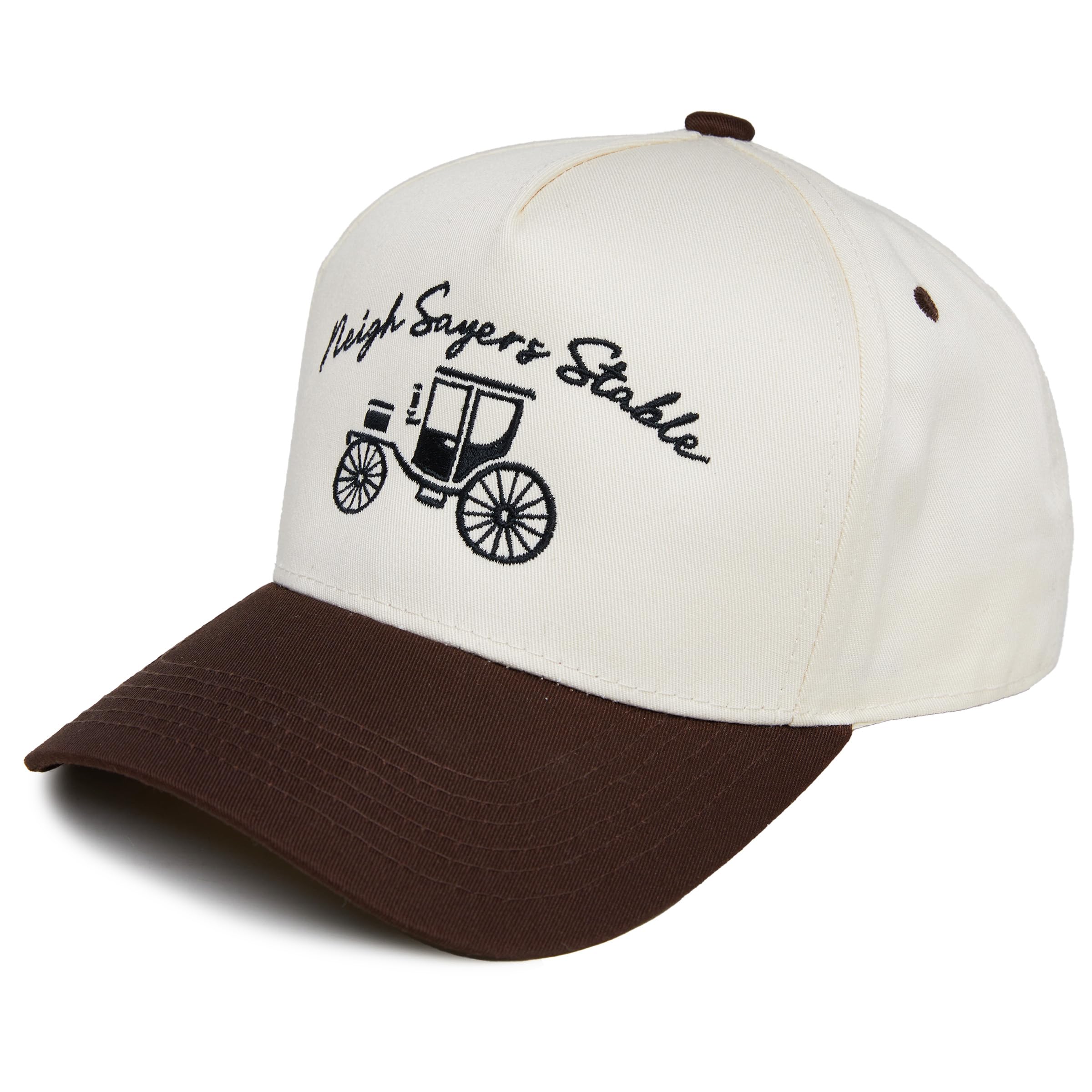 Funky Junque Adult Trucker Snapback Hat 2-Tone Baseball Cap