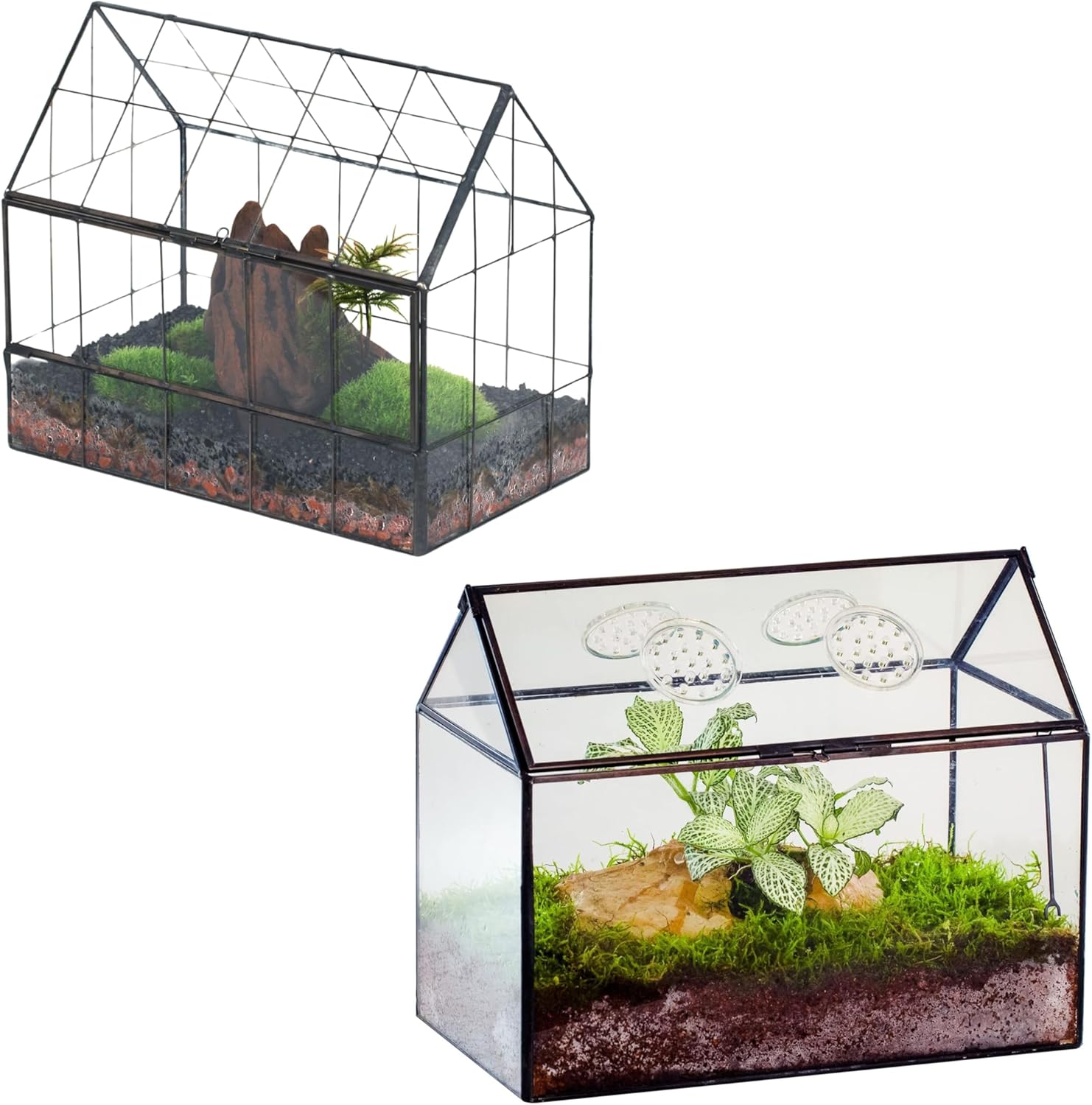 NCYP Geometric Glass Terrarium with Front Opening Door, for Small Succulent, Cacti