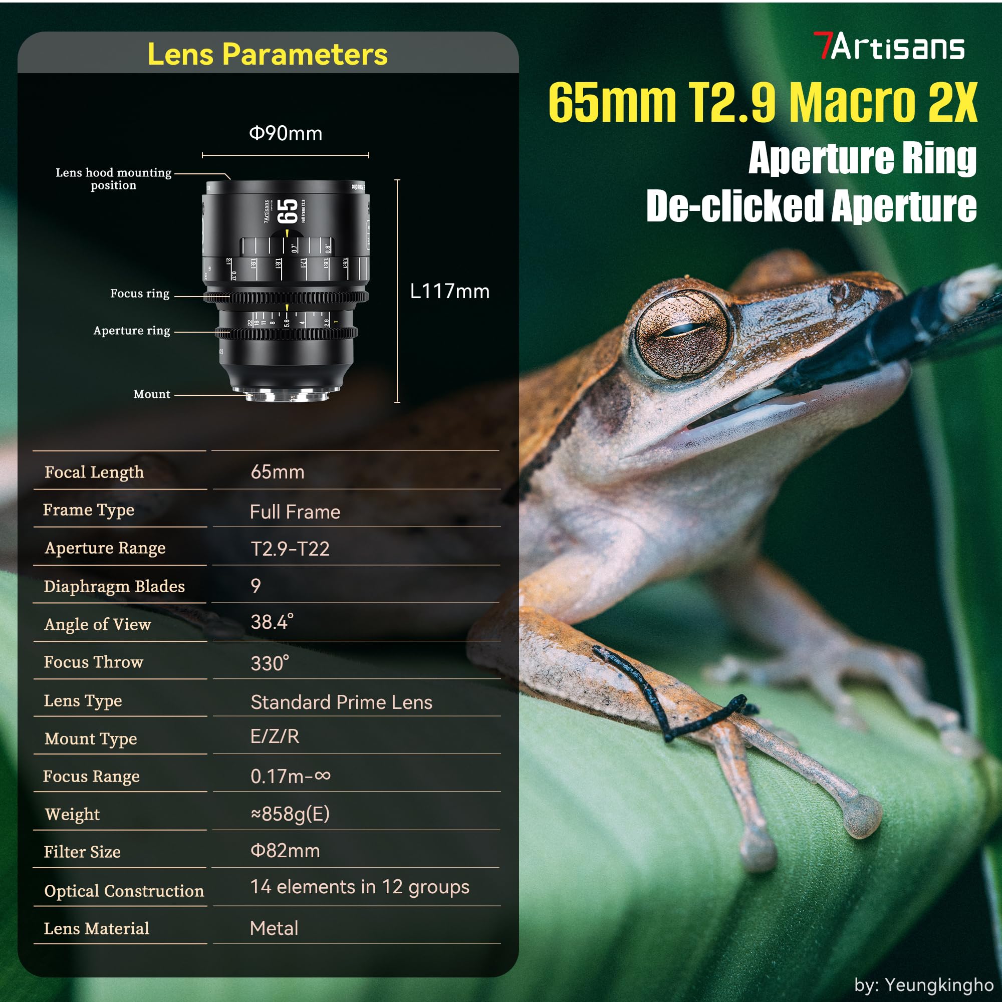 Objectif cinéma Plein Format 7artisans MF65mm T2.9 Macro 2X Infinte Series, Grande Ouverture Compatible avec Les appareils Photo Hybrides Canon EOS-R à Monture R1,R3,R5,R52,R6,R62,R8,R,RP,R7,R10,R50