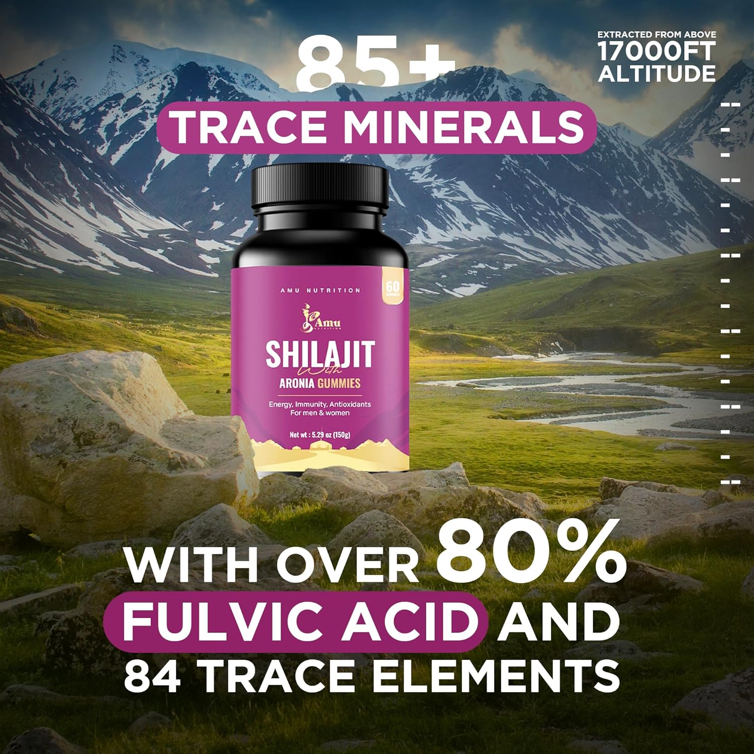 AMU NUTRITION Shilajit Gummies for Men & Women with Aronia Berries Fulvic Acid & 85+ Trace Minerals I Men,Women I Non-GMO I Lab Tested I 100% Natural I 60 Gummy (60 Count (Pack of 1), Aronia Berries)