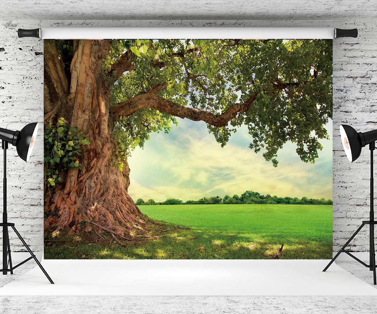 Spring Green Tree Backdrop Outdoor Breathtaking Mountain