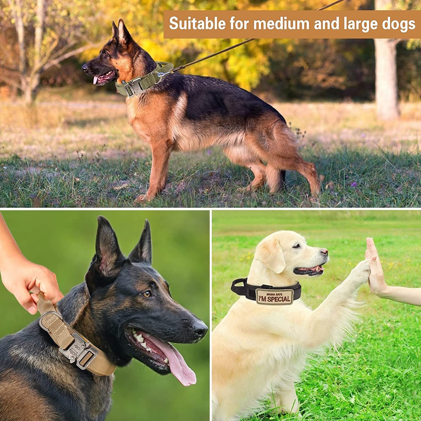 Tactical Dog Collar and Leash Set Heavy Duty Military Dog Collar with Handle and Metal Buckle for Medium and Large Dogs (Army Green, L)