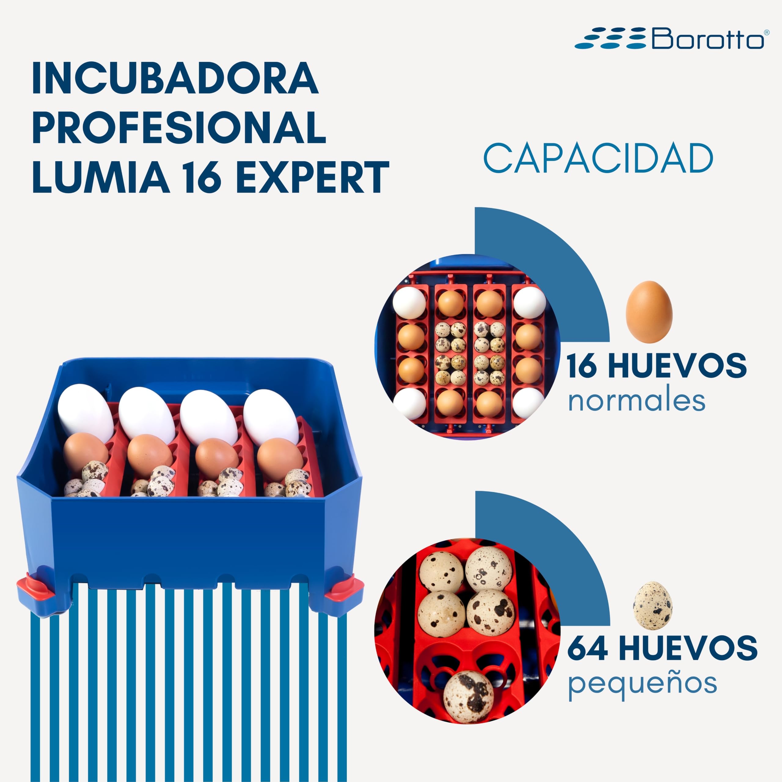Borotto Lumia 16 Expert | Incubadora de Huevos Automática Profesional Patentada 16 Huevos o 64 Pequeños con Volteador de Huevos Automático, Control de Temperatura, Humidificador Sirio | Made in Italy