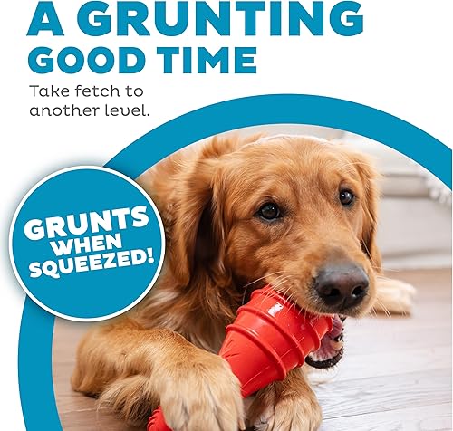 Miniatura 3 de Petstages Grunt Fetch Stick - Juguete de conejo rojo para perro, sonido divertido y forma para divertirse en busca de juegos