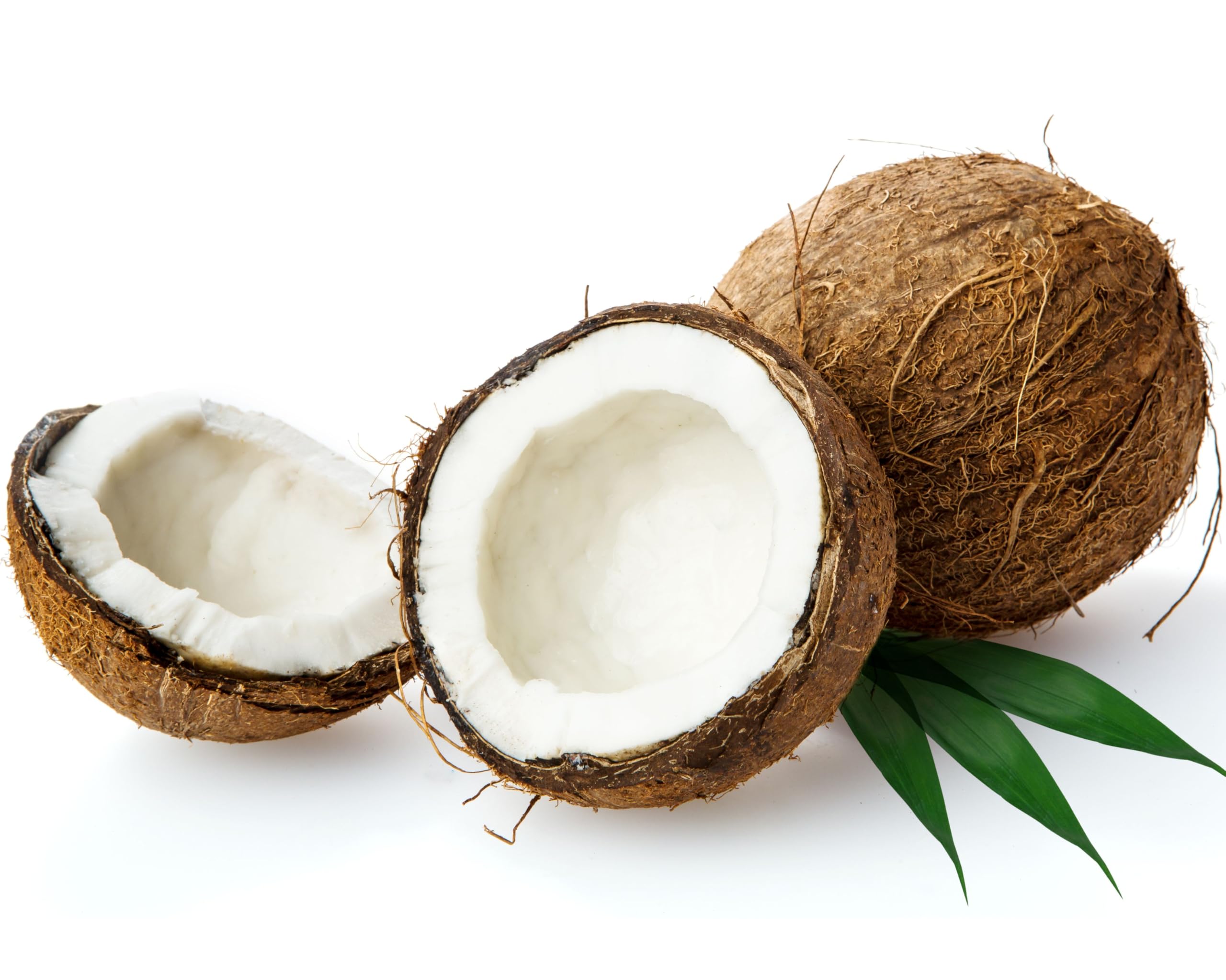 EraGreen® 5 discos de coco de 80 cm de diámetro, 100% fibra de coco, protección contra heladas para plantas en macetas y macetas, protección contra heladas para plantas en macetas y macetas,