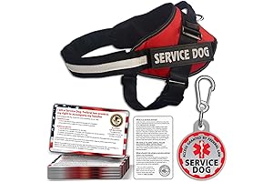 Service Dog Vest and Identification Kit