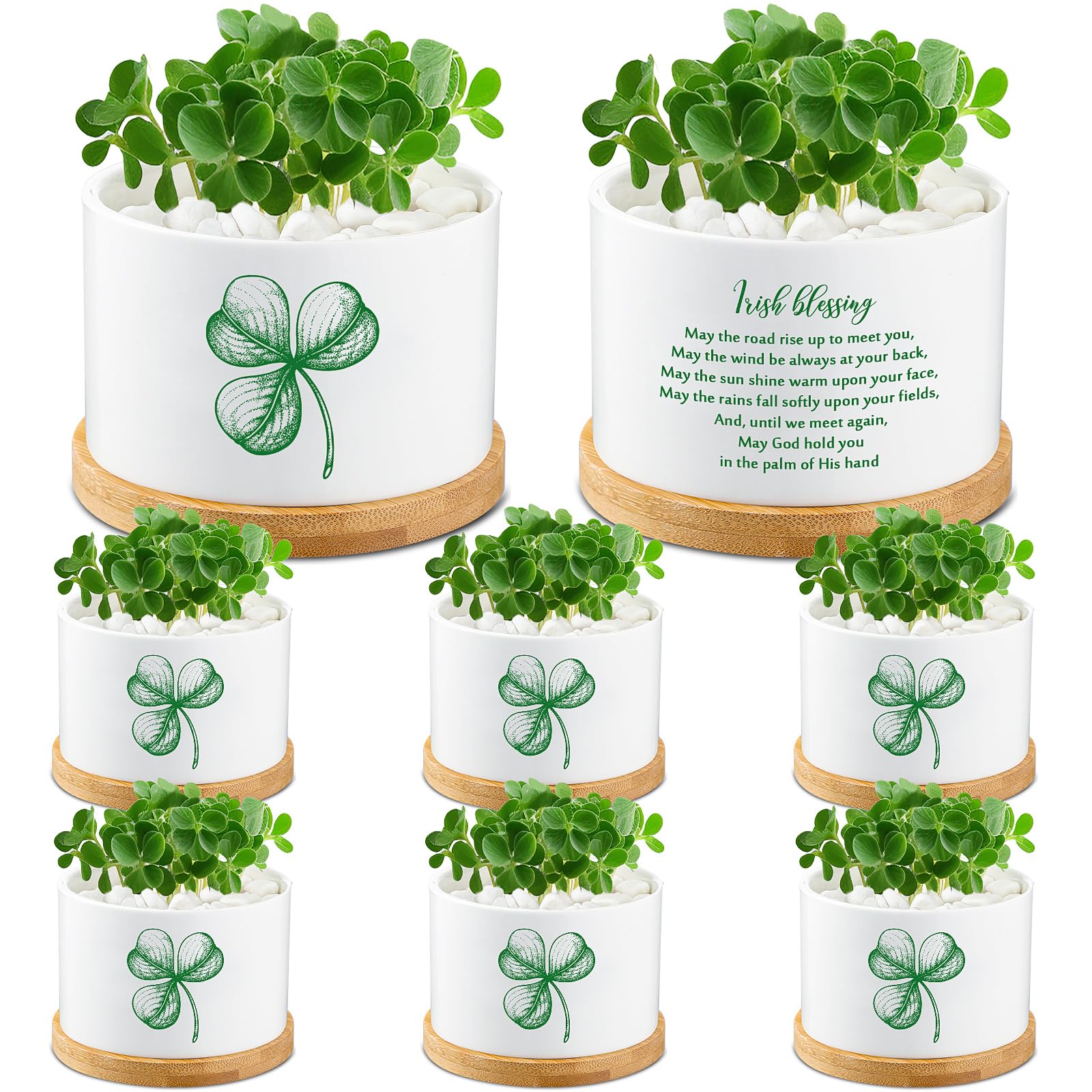 FillTouch Succulent Pots