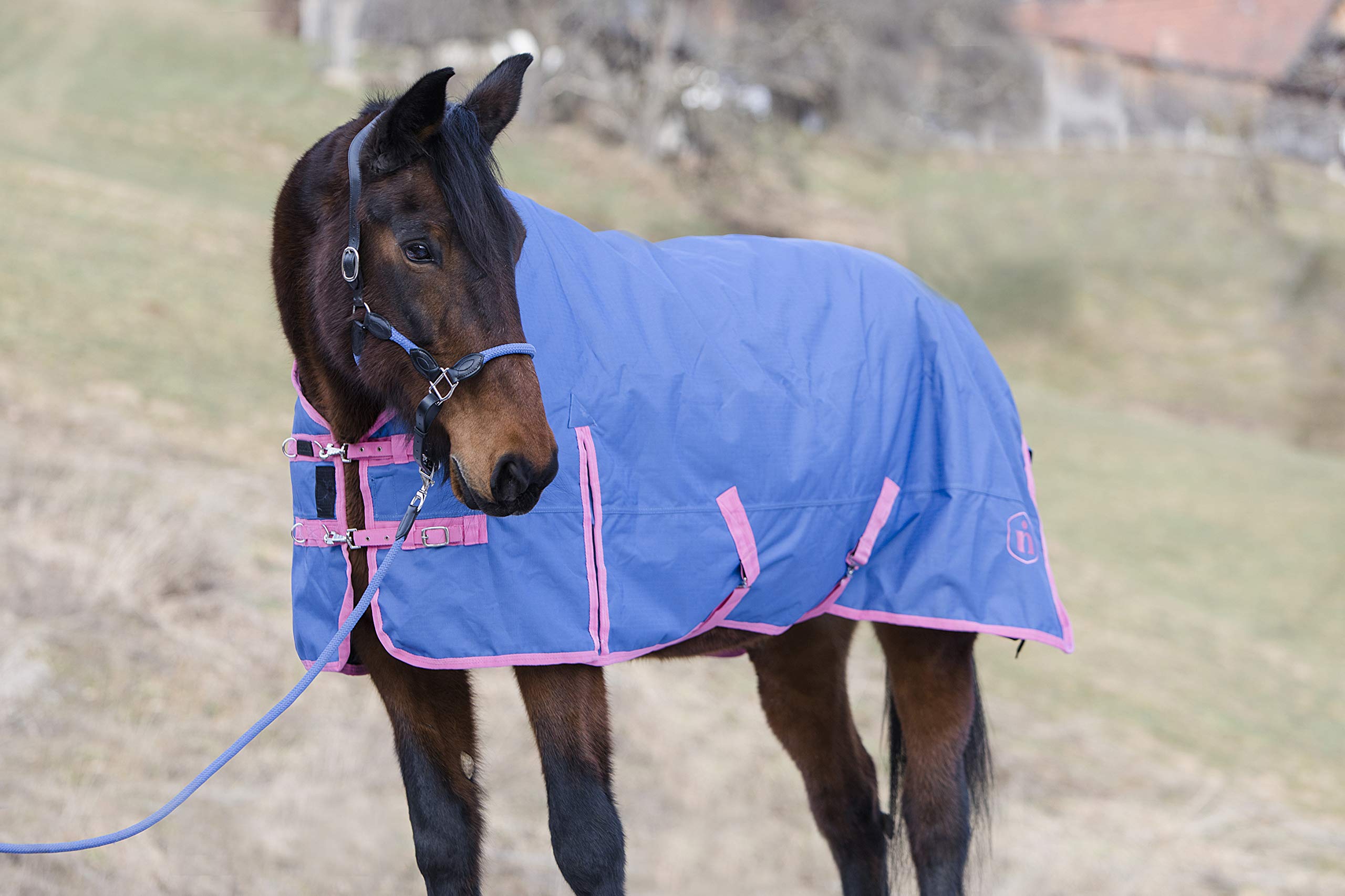 Pferdedecke-Winter indira pro 400g Wasserdicht Ripstop 1200d high-Neck (145 cm, Blau 01 - Pink 01)