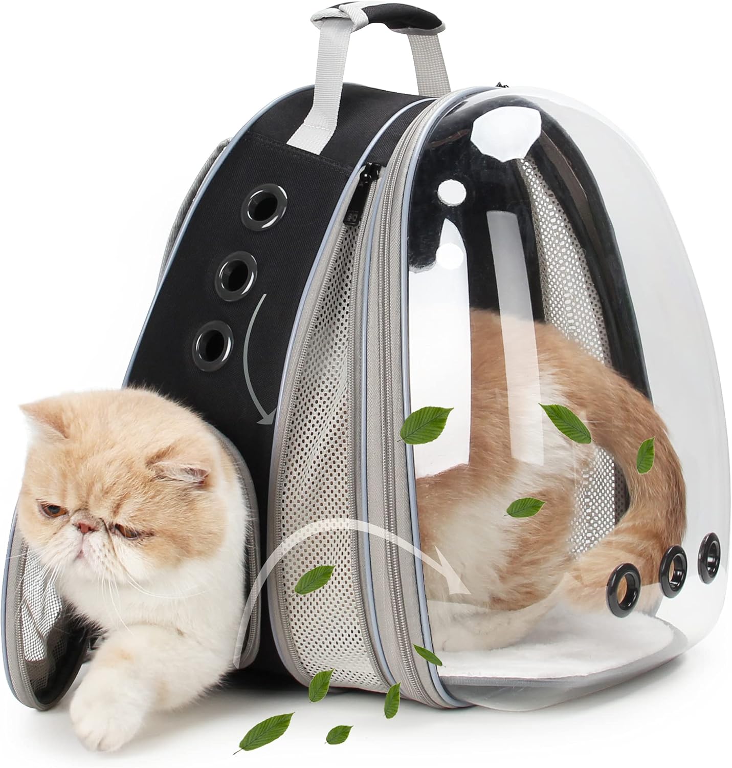 Lollimeow Pet Carrier Backpack, Bubble Backpack Carrier, Cats and