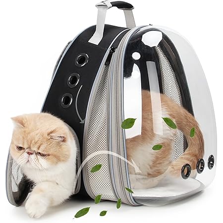 amazon cat backpacks