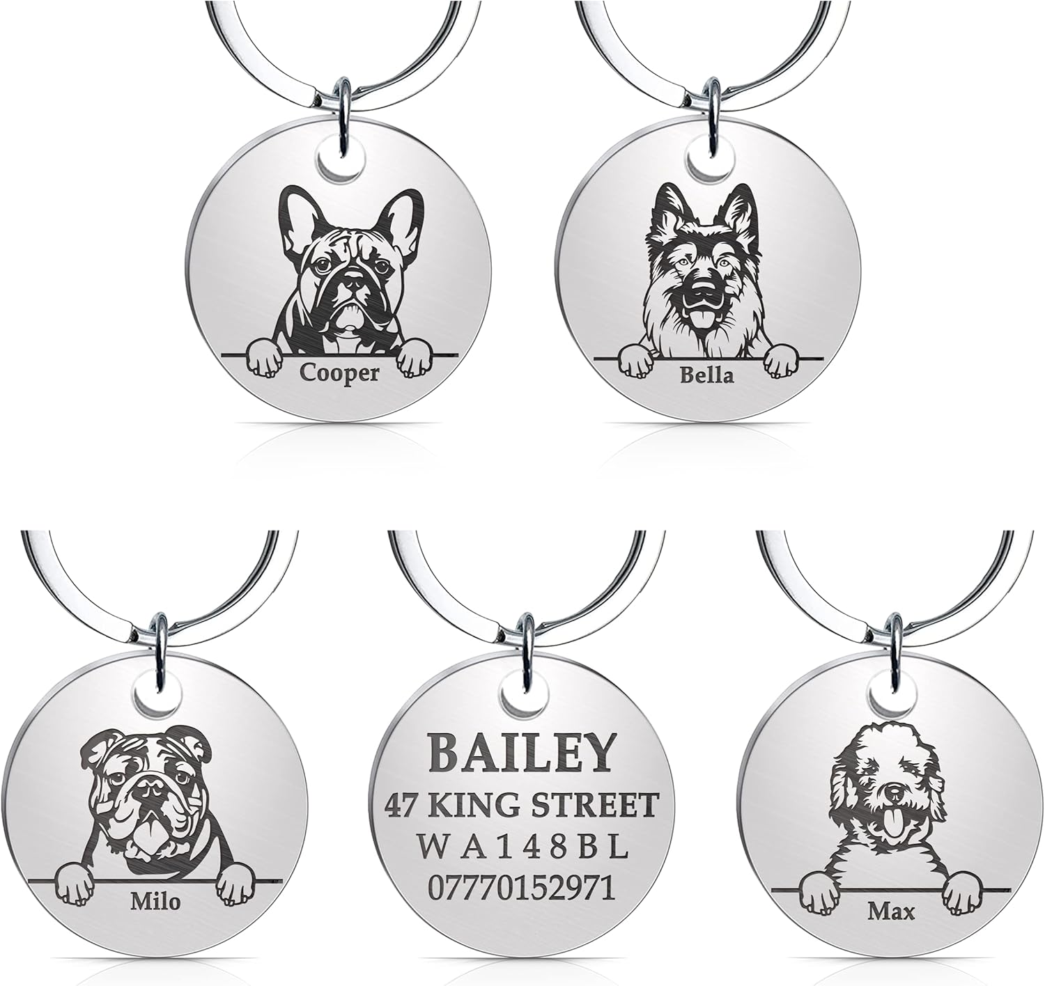 ID Tags for Dogs Engraved Dog Tag with Personalised Nametags, Smart