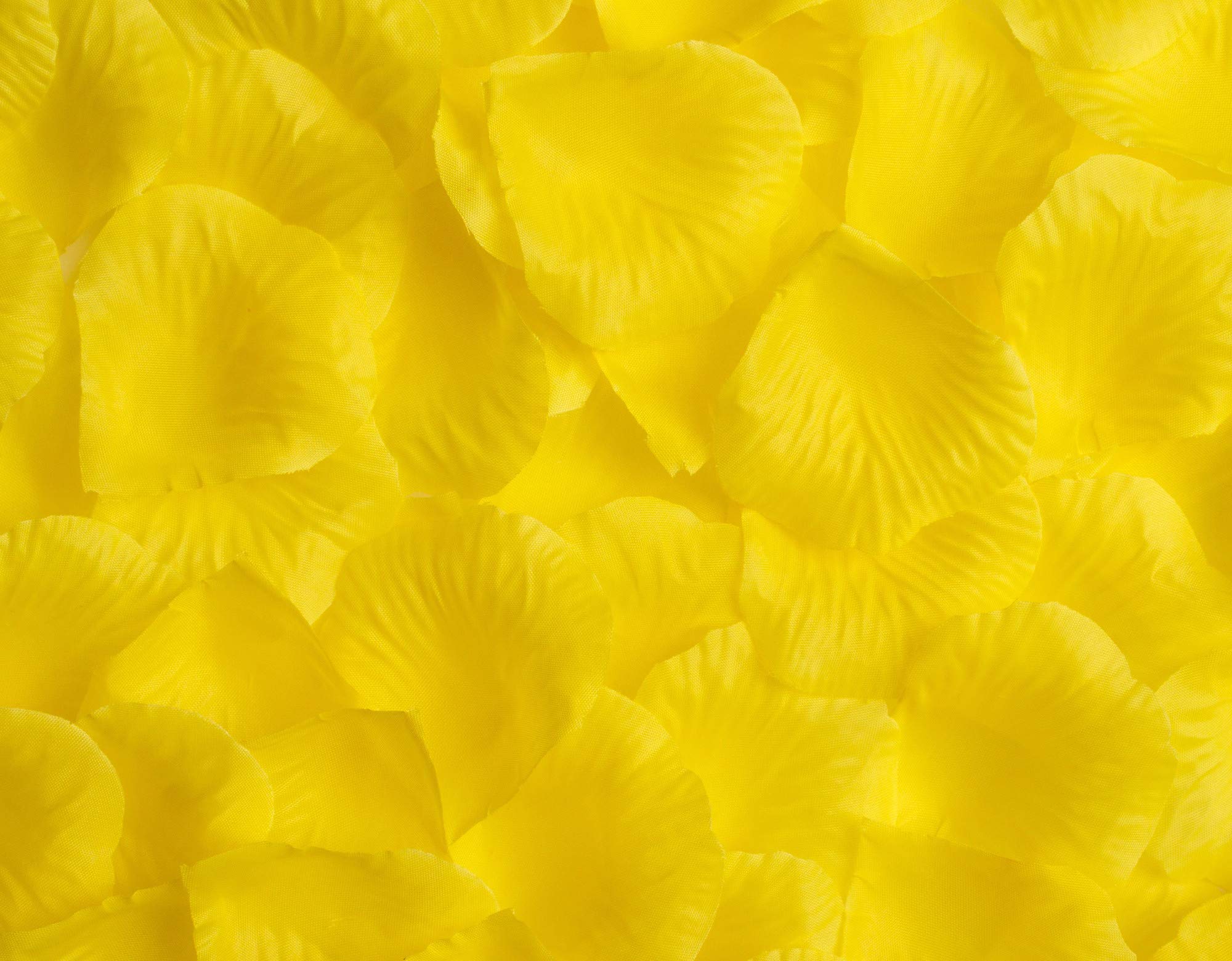 Best Artificial Yellow Silk Rose Petals Flower Confetti Wedding Bridal Valentine Arrangement Engagement Party Decoration (, 1000)
