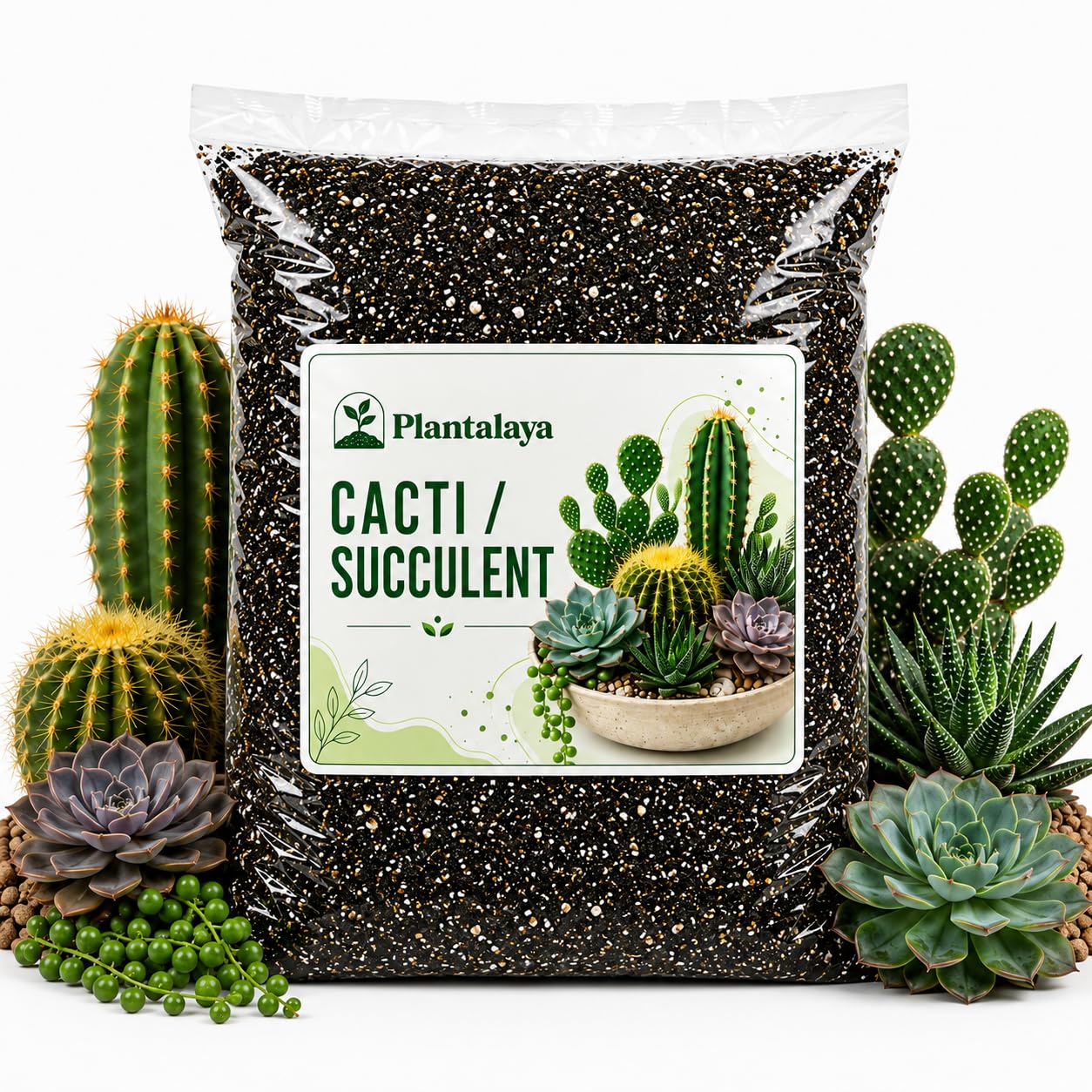 Cacti & Succulent Potting Mix – Fast Draining Soil Blend for Cactus, Succulents, Aloe Vera, Echeveria, Haworthia & Jade Plants – Premium Growing Medium for Healthy Roots (5 Litres)