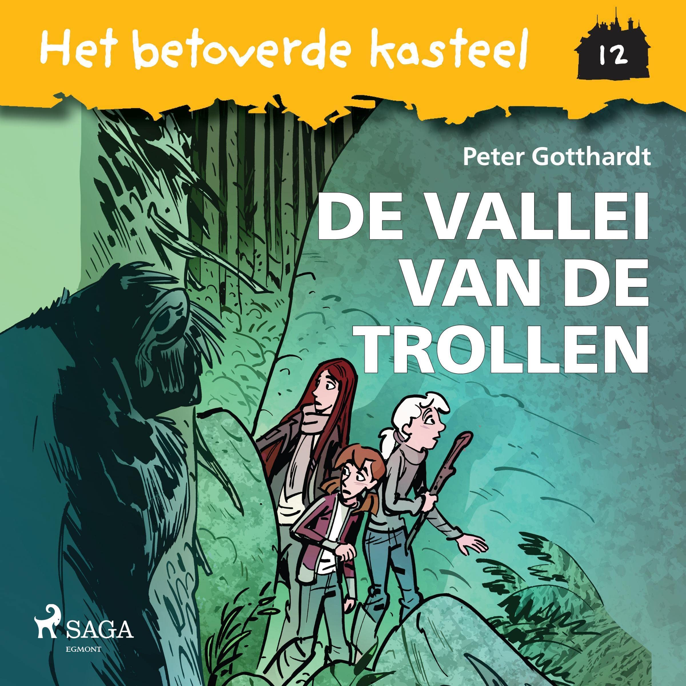 Cover art for De vallei van de trollen