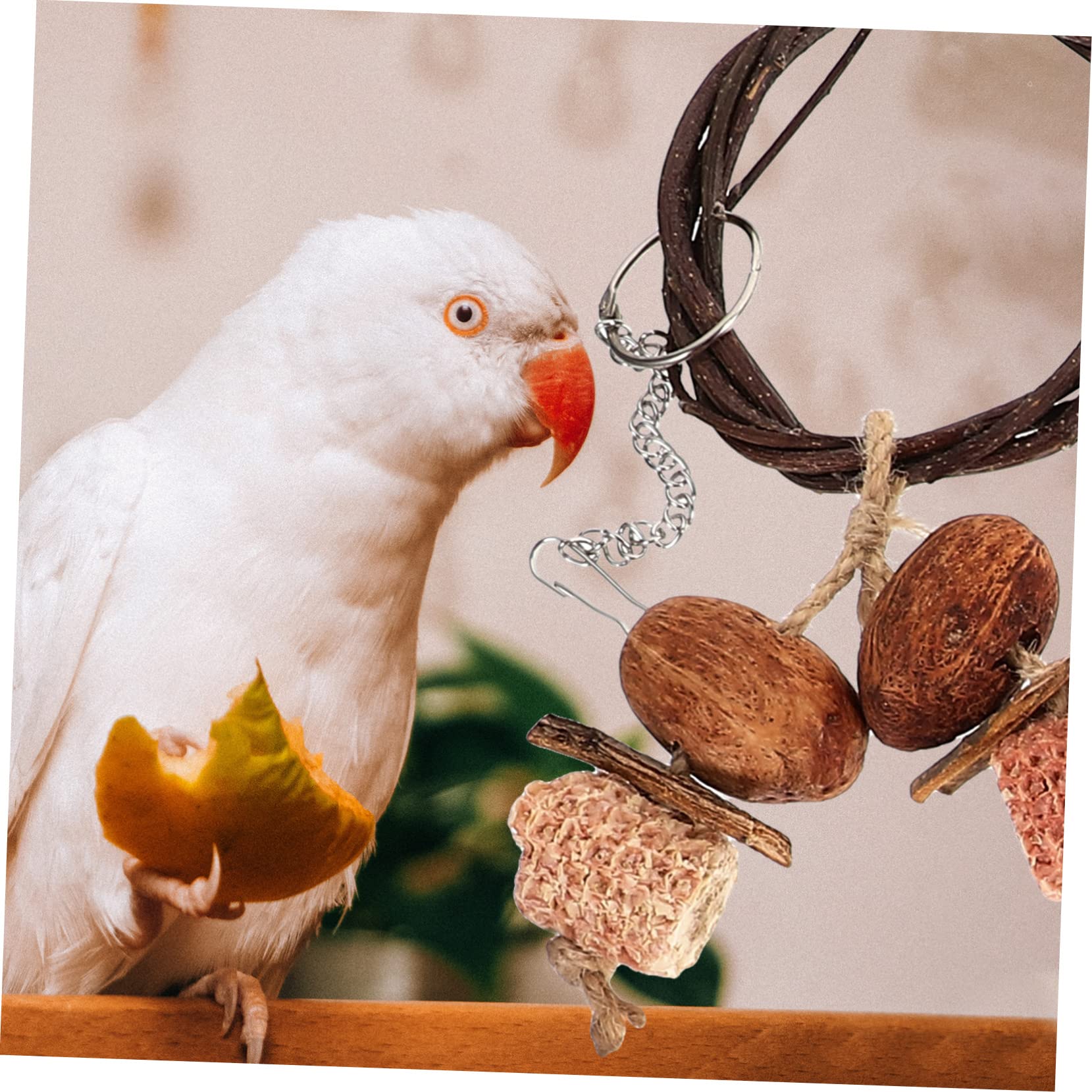 1 Ensemble Perchoir pour Oiseaux Ensemble de Jouets Suspendus pour Perruches et Perroquets Accessoires de Volière pour Oiseaux de Installation Facile avec Crochets Amovibles