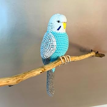 Budgie様 Amazon.com: 3dRose ht_185097_3 Grey Budgie Bird Iron on Heat